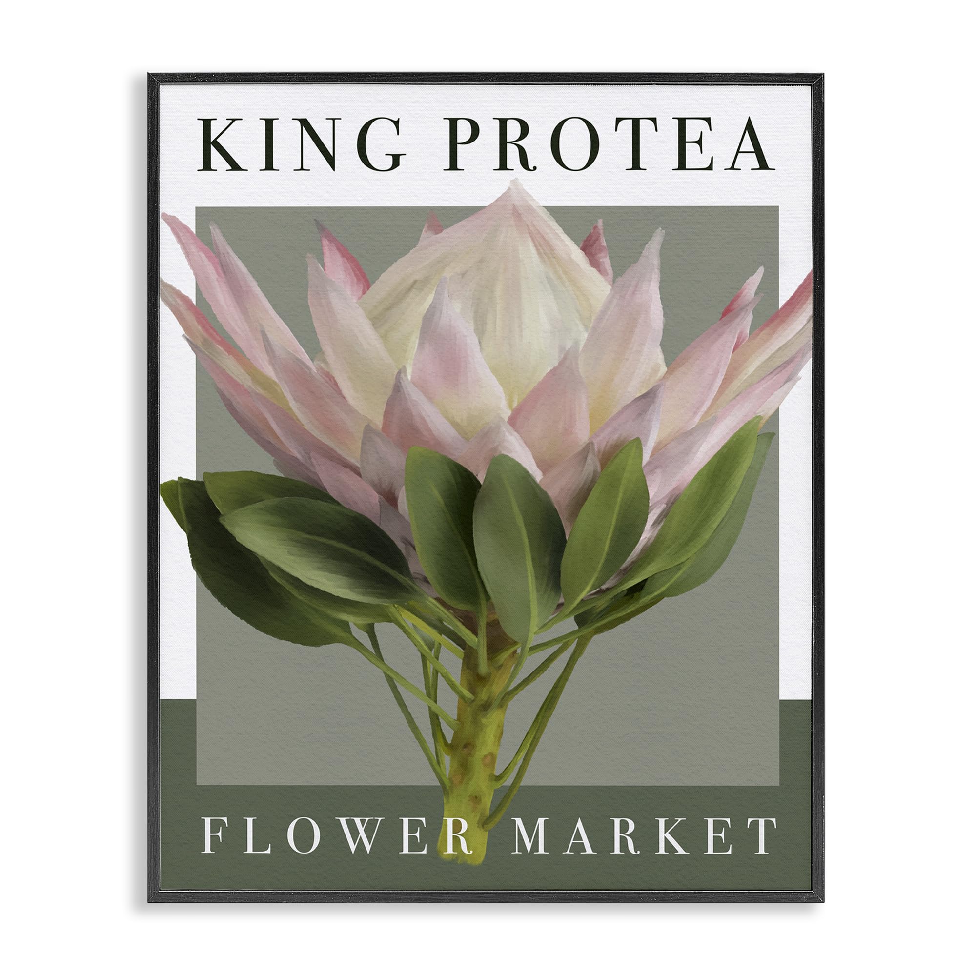 Stupell Industries Midnight Black (Textured) King Protea Flower Market, 16 X 20 Inch Framed Giclée Print