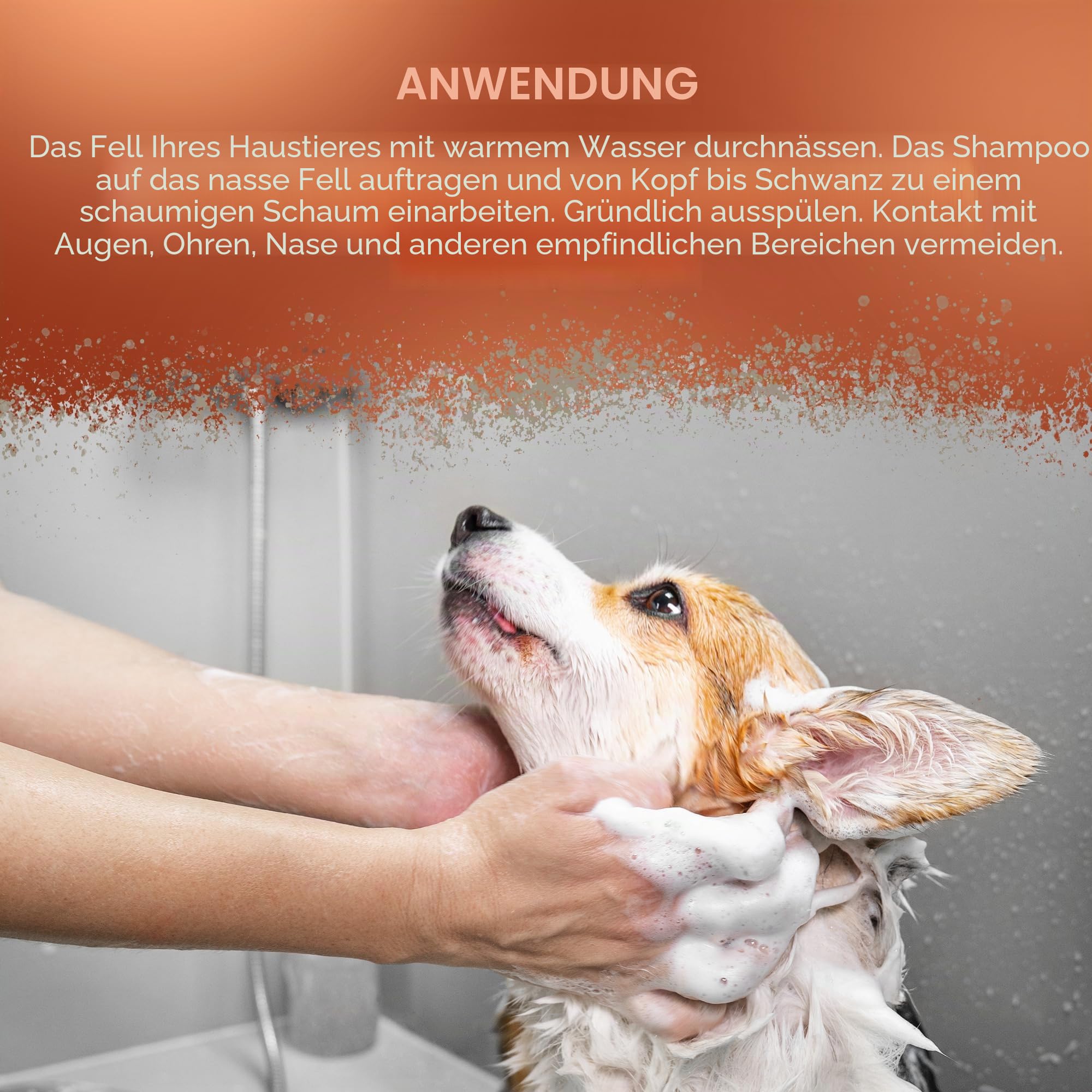 WAHL Dirty Beastie Dog Shampoo - 5 l, 32:1 Konzentrat, vegane Formel für schmutziges, Dickes oder verfilztes Fell, reinigt und desodoriert