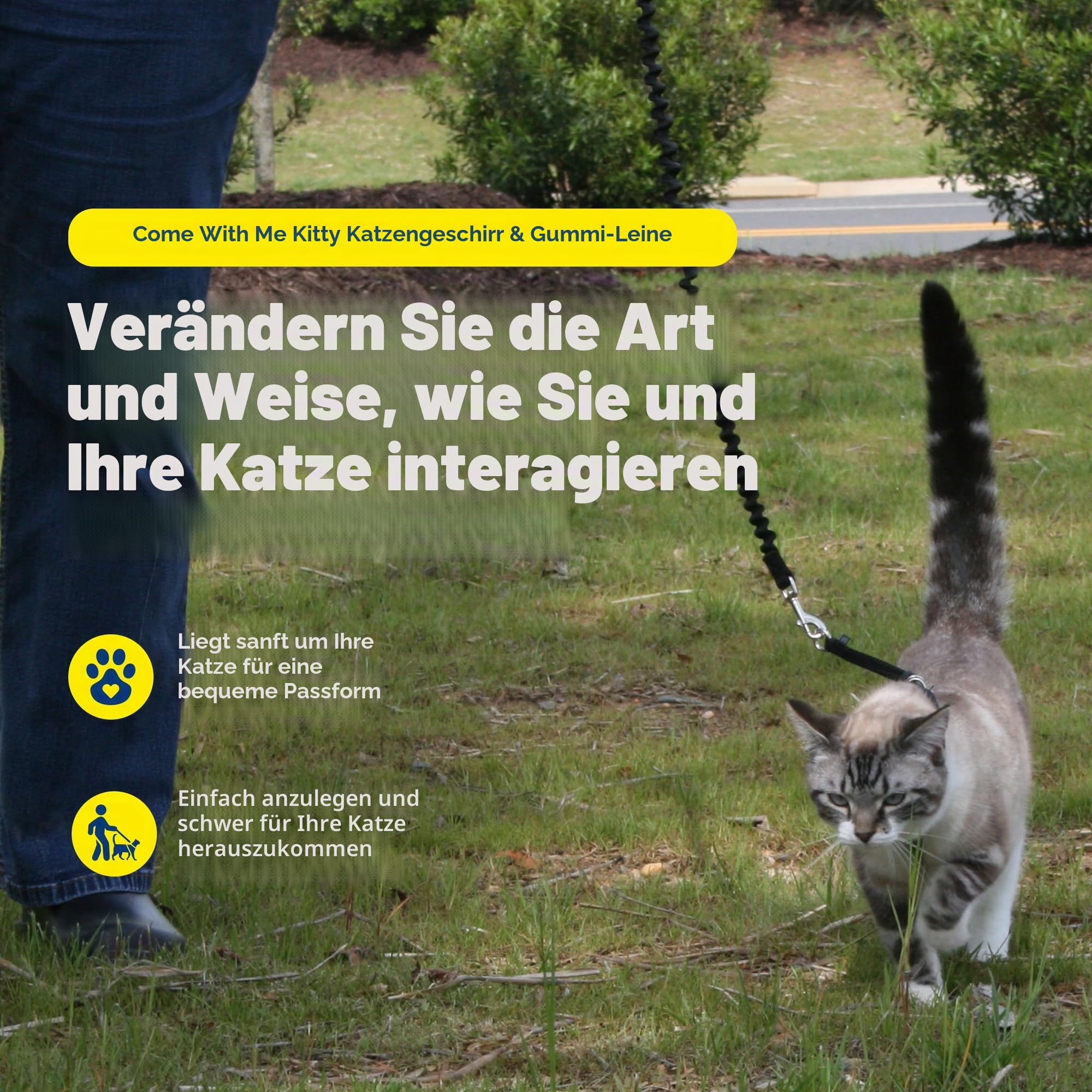 PetSafe Come with Me Kitty Geschirr und Bungee-Leine, Geschirr für Katzen, Größe S, Schwarz/Silber