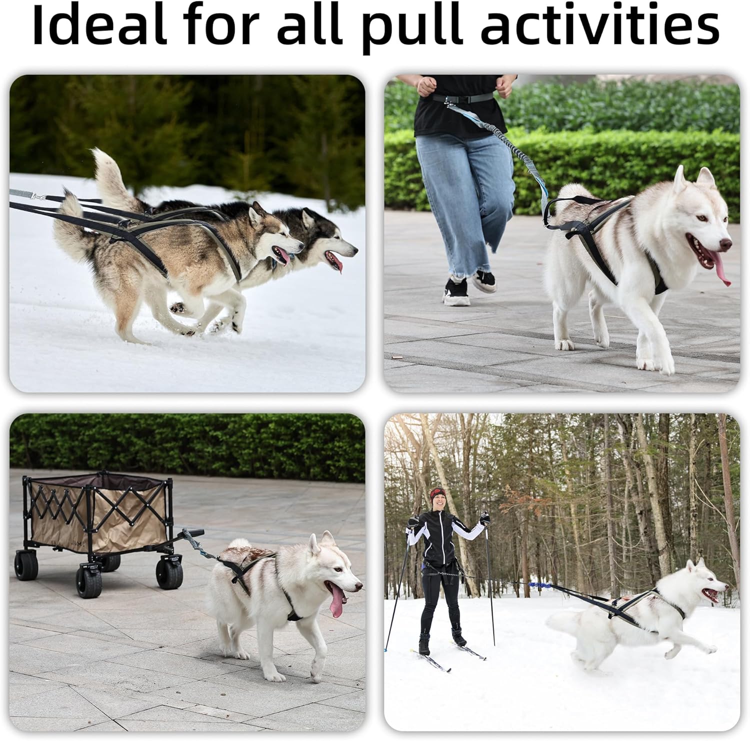 Pet Leash Chest, Sled Dog Harness,Adjustable Pet Vest Chest and Back One, Heavy Duty Dog Harness, Thick Nylon and Padded, No Pull Harness for Training and Everyday (M)