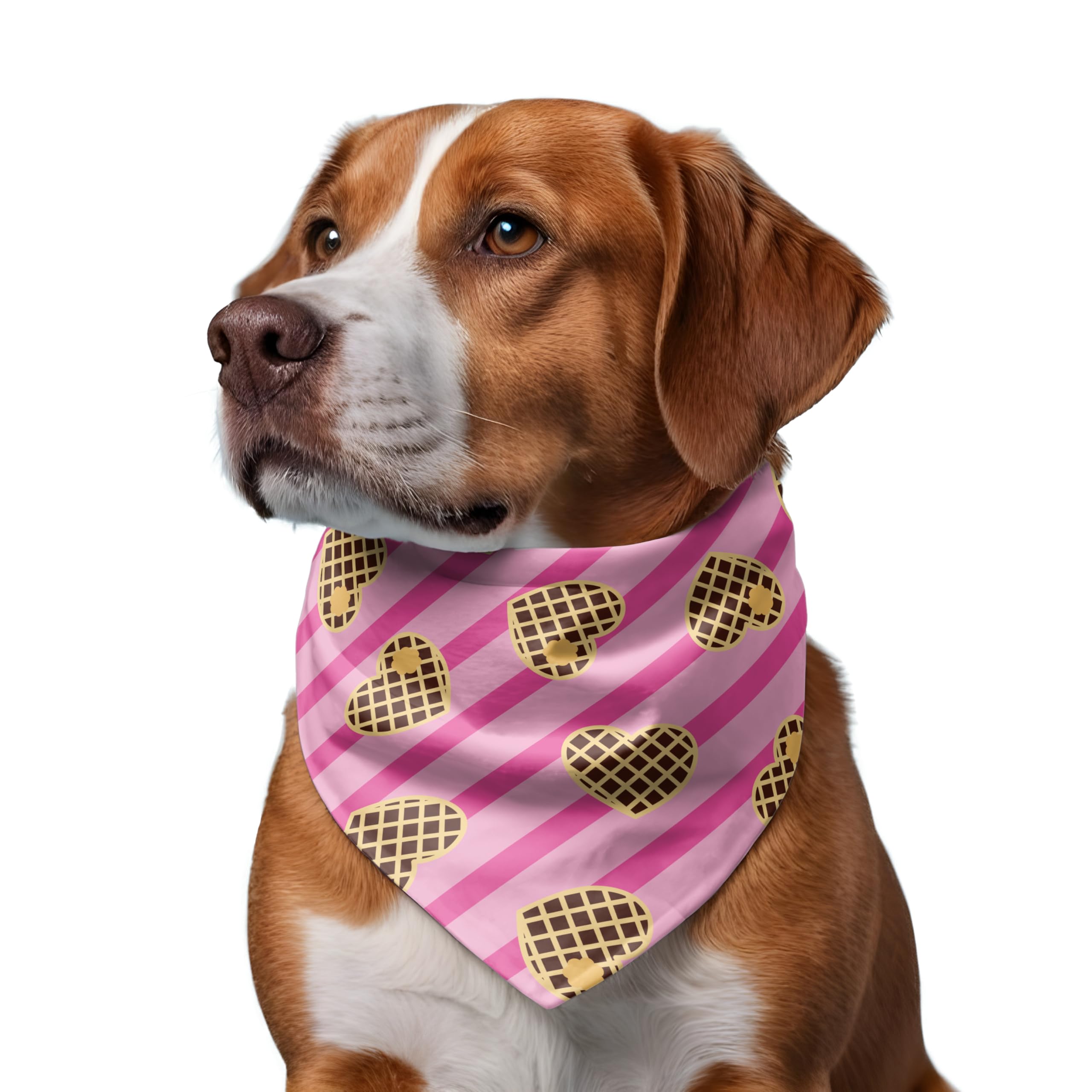 Dog Collar with Bandana Set of 3, Multicolor, Medium - Large - Image 3