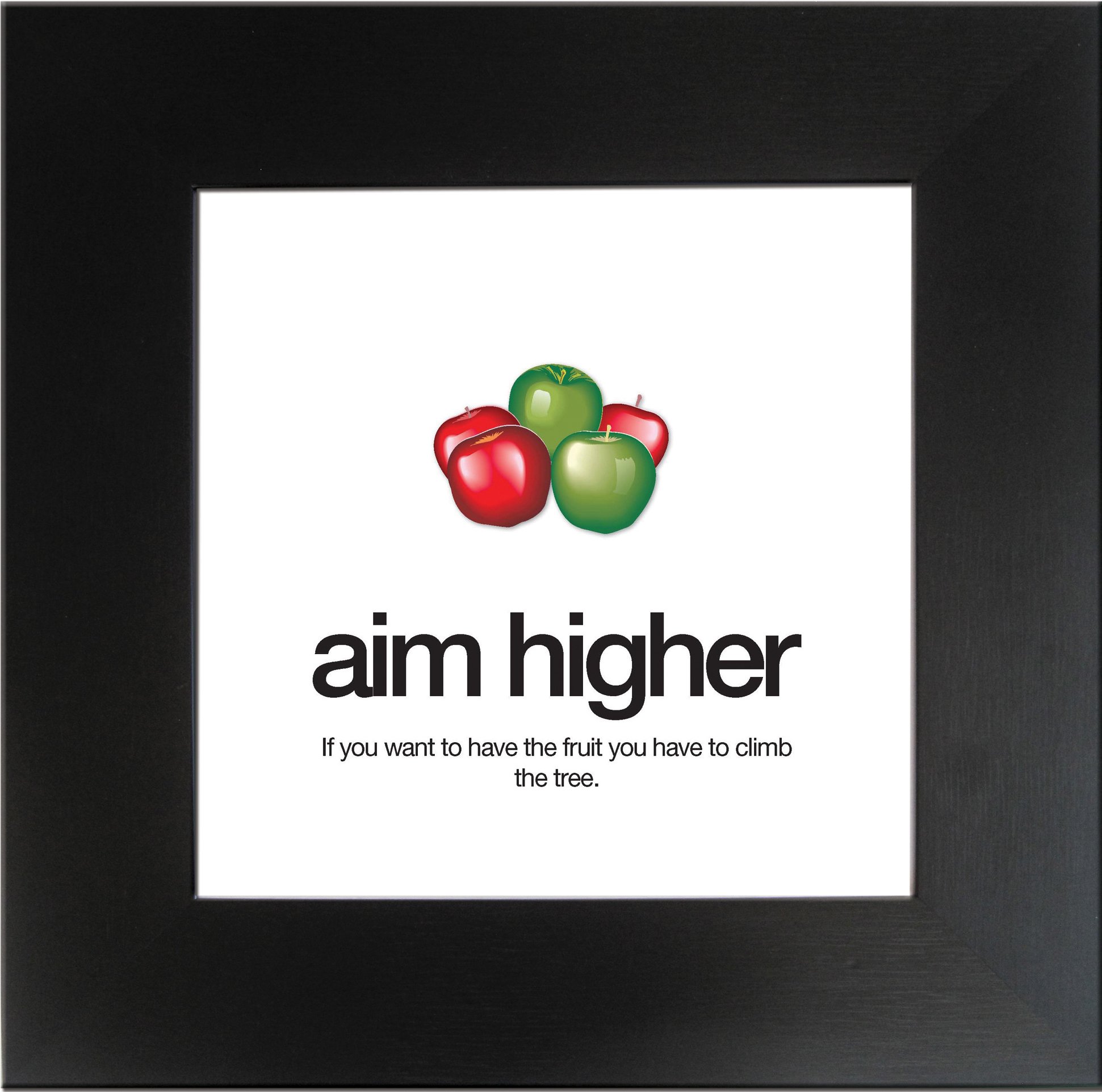 SECO Stewart Superior "Aim Higher" Framed Motivational Poster, 19 x 19 Inches, Black Frame (MPAIM)