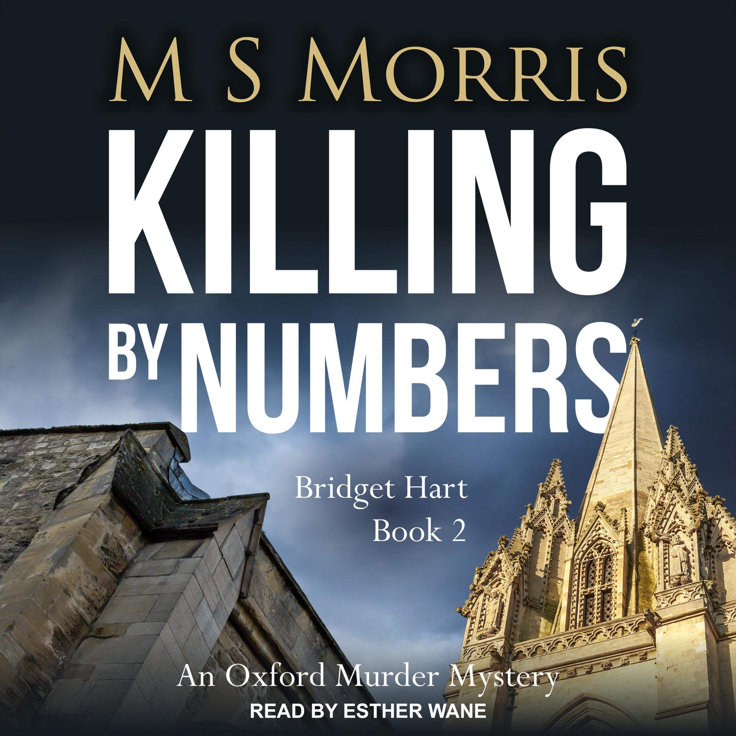 Cover art for Killing by Numbers