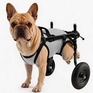 Rear Wheels Mobility Aid Cart Dog Wheelchair for Back Legs, M, Grey