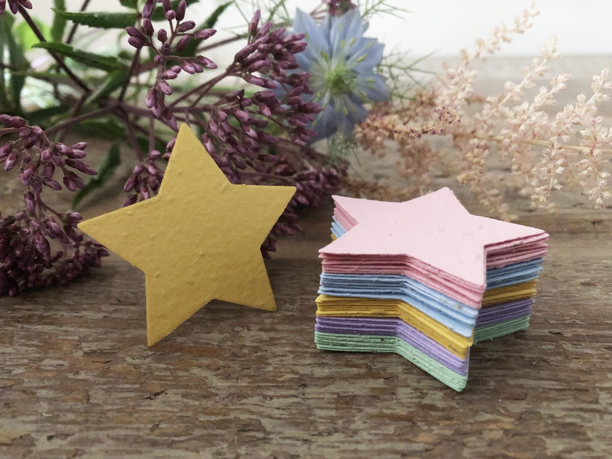 100 Multicoloured Seed Paper Stars, Rainbow Seed Paper Stars, Plantable Seed Paper Stars, Eco Friendly Seed Paper Stars, Bulk Seed Paper Stars, Star Shaped Seed Paper, Plantable Seed Paper Favours