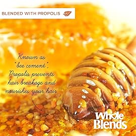 Garnier Whole Blends Repairing Mask Honey Treasures, 10.1 Fluid Ounce