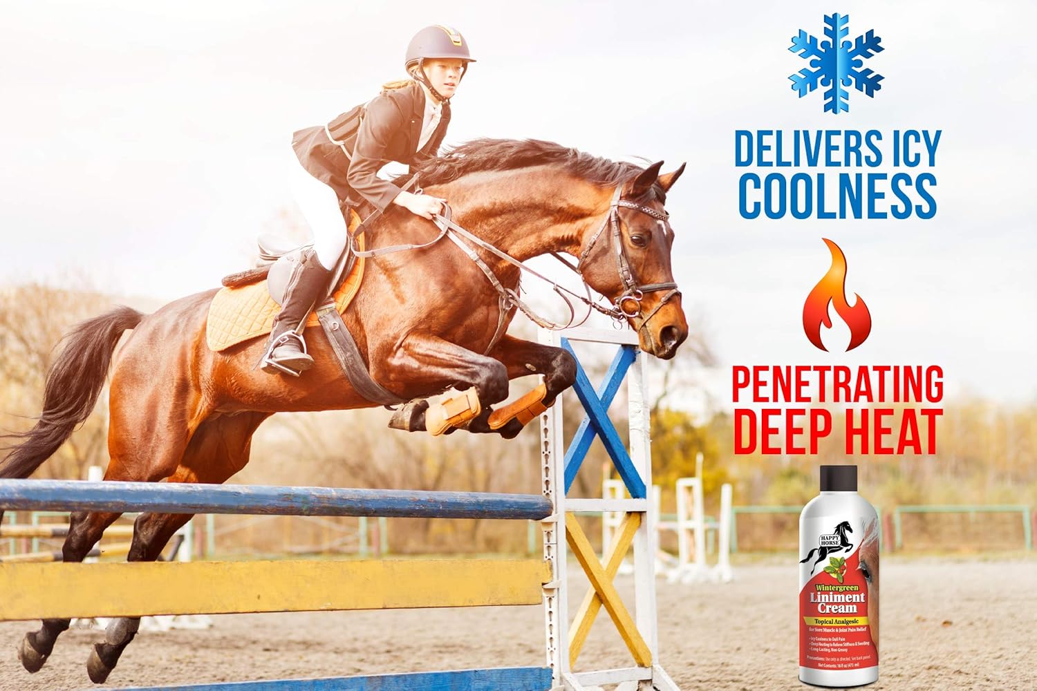 Best Horse Feeds For Muscle Care The Complete Guide On