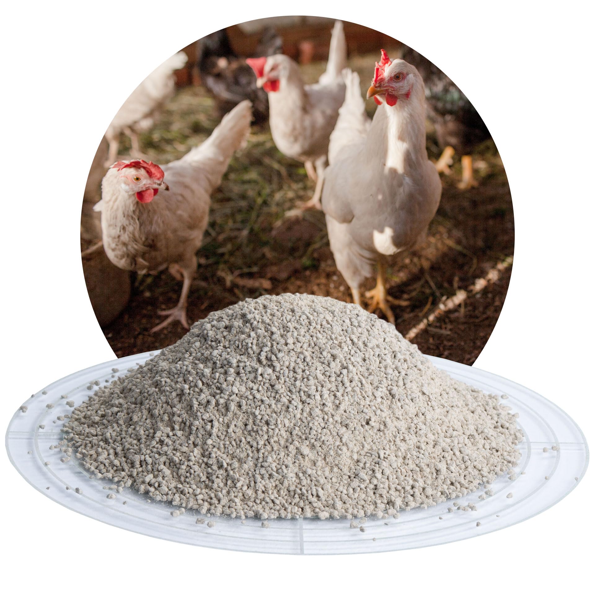 Schicker Mineral Geflügel-Futterkalk 0-2,0 mm 25 kg, kohlensaurer Futterkalk, sichert Kalzium-Versorgung für Feste Eierschalen und Starke Knochen, Verdauungsförderung, beugt Mangelerscheinungen vor