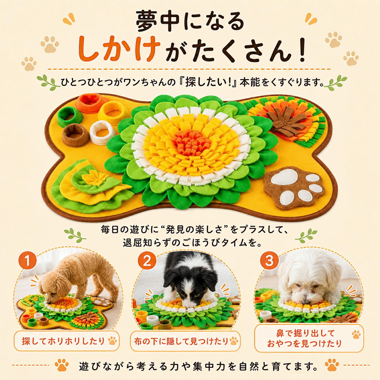 Amazon.co.jp: Lifetips ビション・フリーゼ（Bichon Frisé） 犬用