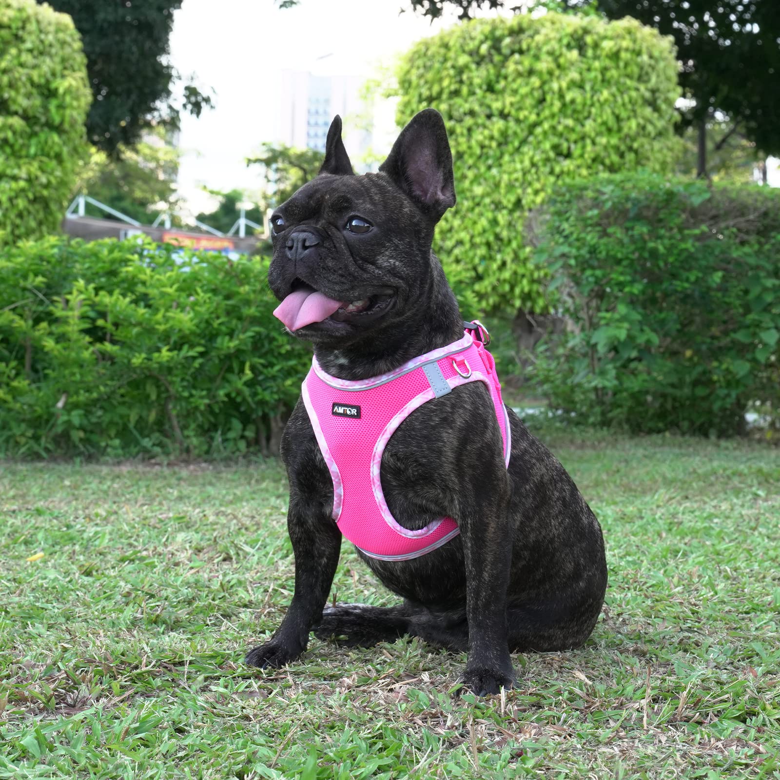 AMTOR No-Pull Dog Harness & Leash Set - Reflective Step-In Vest For Small To Large Dogs