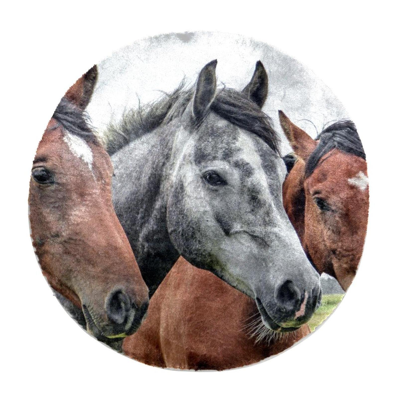 Alfombras de área esponjosas personalizadas, alfombra circular de felpa para el suelo, alfombra de pelo sintético con cabeza de caballos, animales