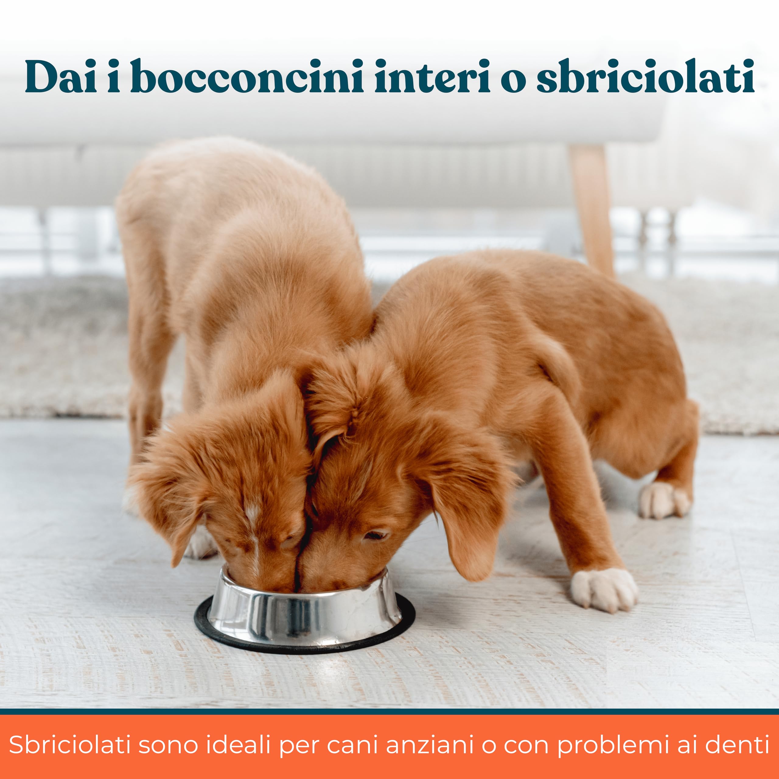 Integratore per Pulizia Denti e Gengive Cani Gusto Manzo - Igiene Orale Cane contro Placca, Tartaro e Alito Cattivo
