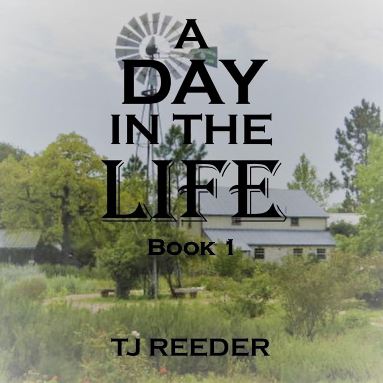 Amazon.com: A Day in the Life, Book 1 eBook : Reeder, TJ: Kindle Store