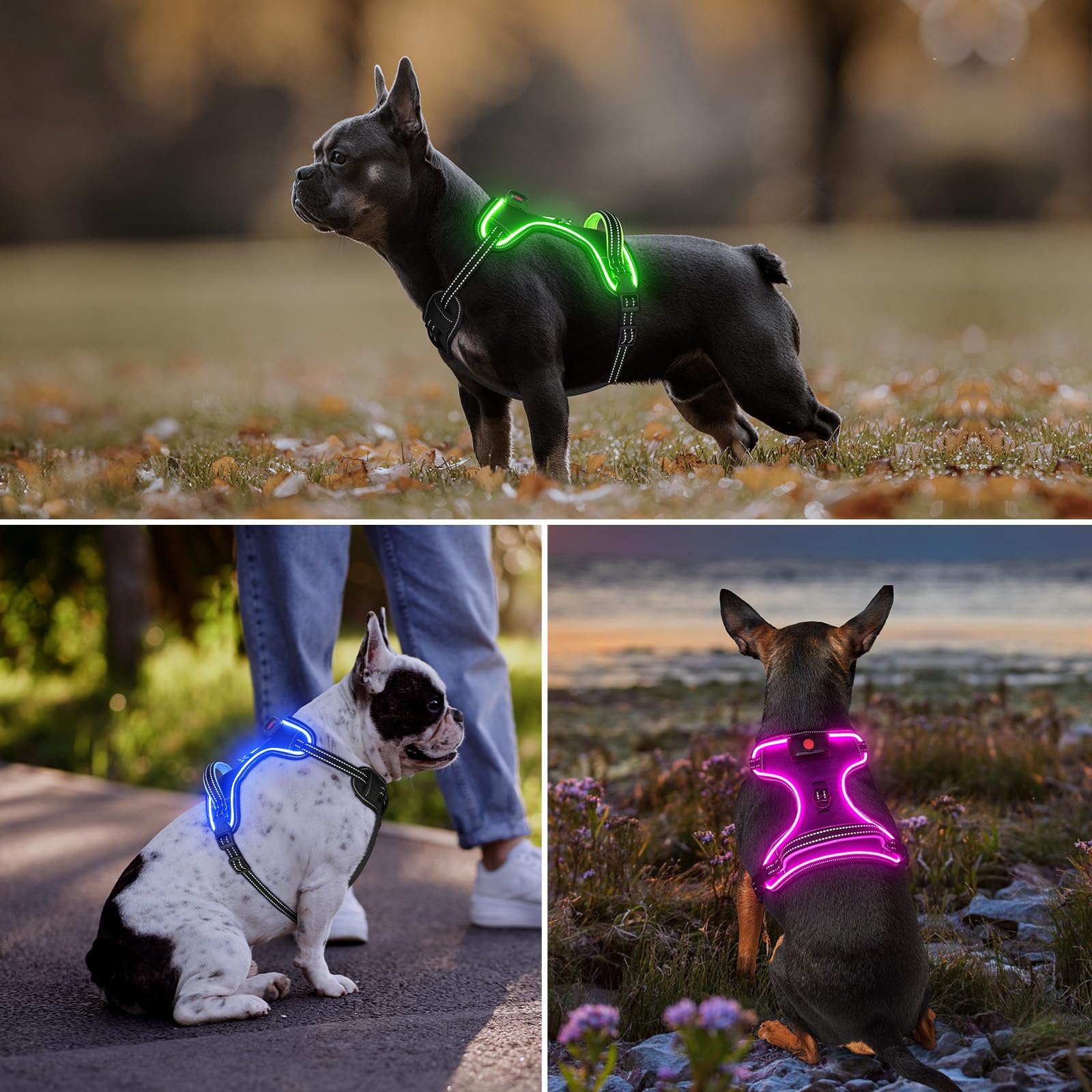 Arnés iluminado para perro, sin tirones, con luz LED, con asa, recargable, para perros pequeños, medianos, grandes y extragrandes, sin tirones, arnés ajustable de 4 puntos