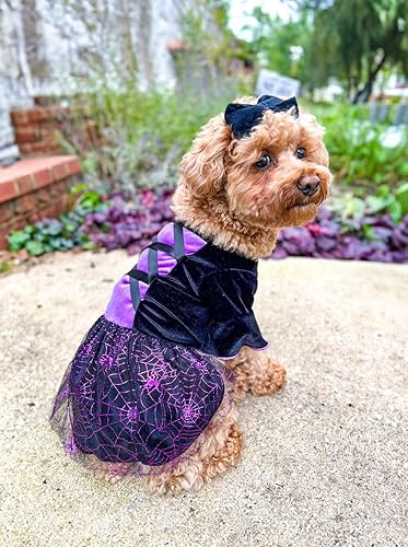 Miniatura 4 de Fitwarm Disfraz de bruja de Halloween para perro, ropa divertida para perros pequeños, vestido gótico para mascotas, traje para gato, terciopelo