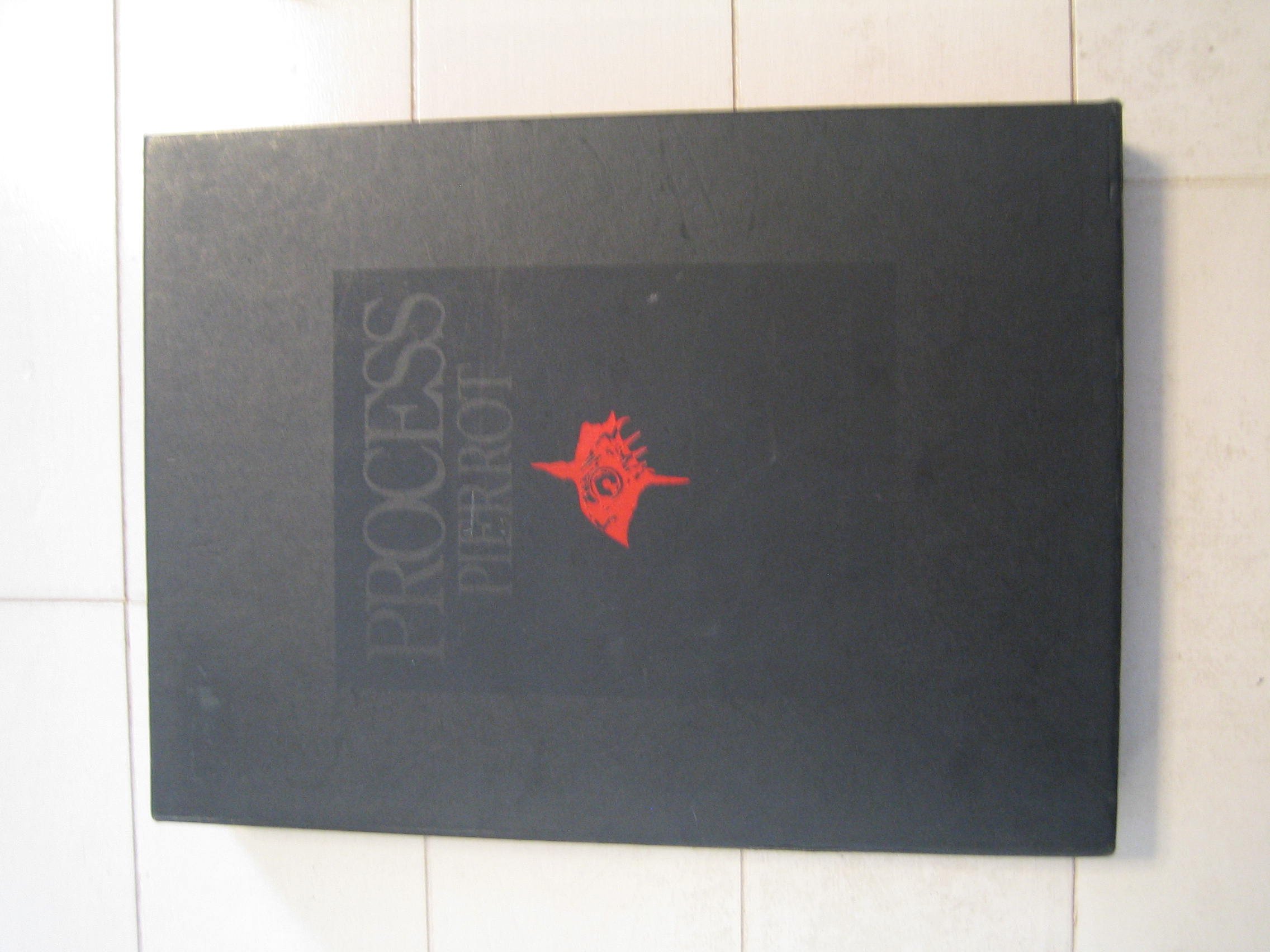 PROCESS: HISTORY INTERVIEW&PHOTOGRAPHS | PIERROT |本 | 通販 | Amazon