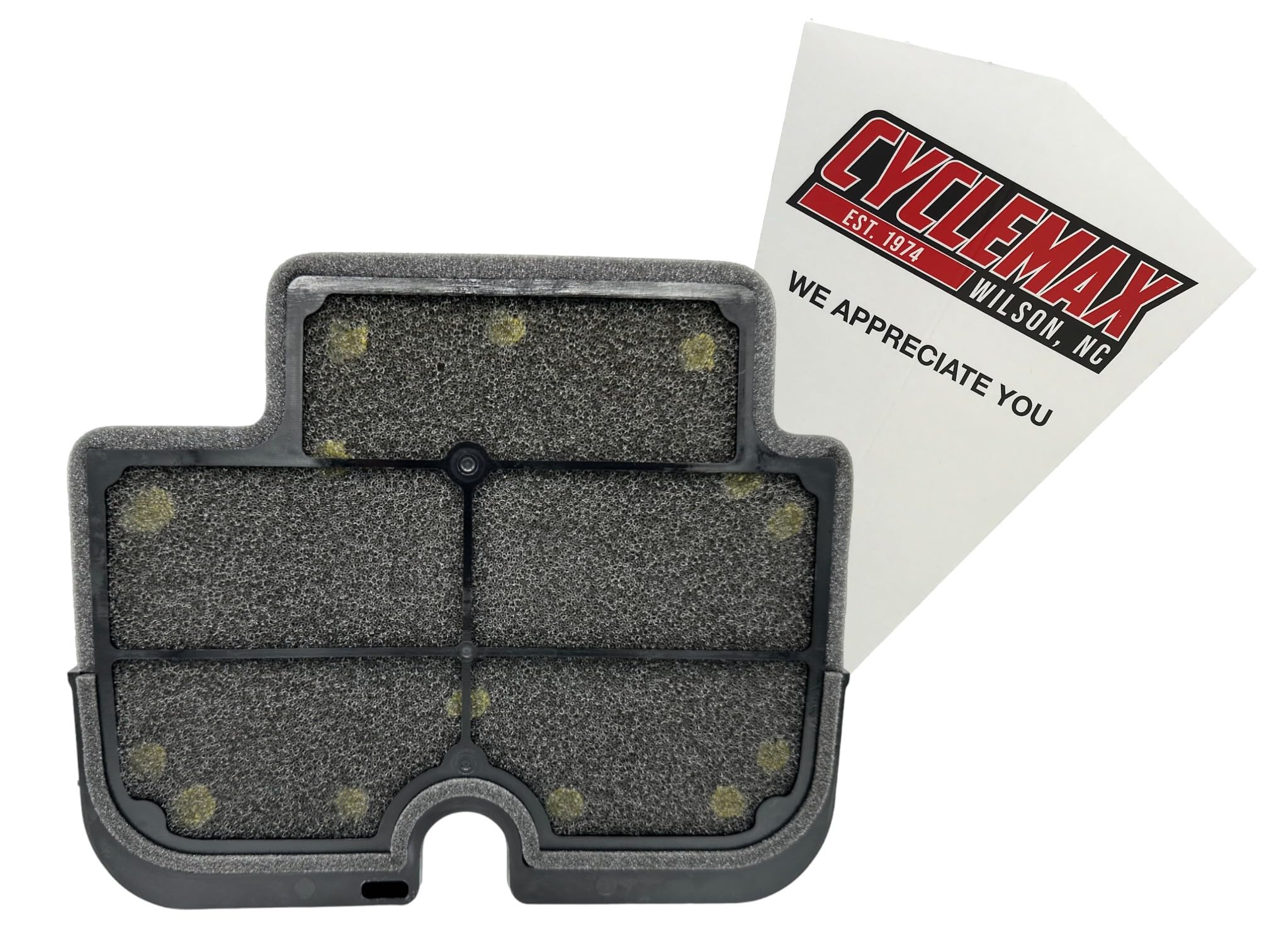 Amazon.com: Kawasaki OEM Air Filter Ninja EX650 09-11 11029-0011