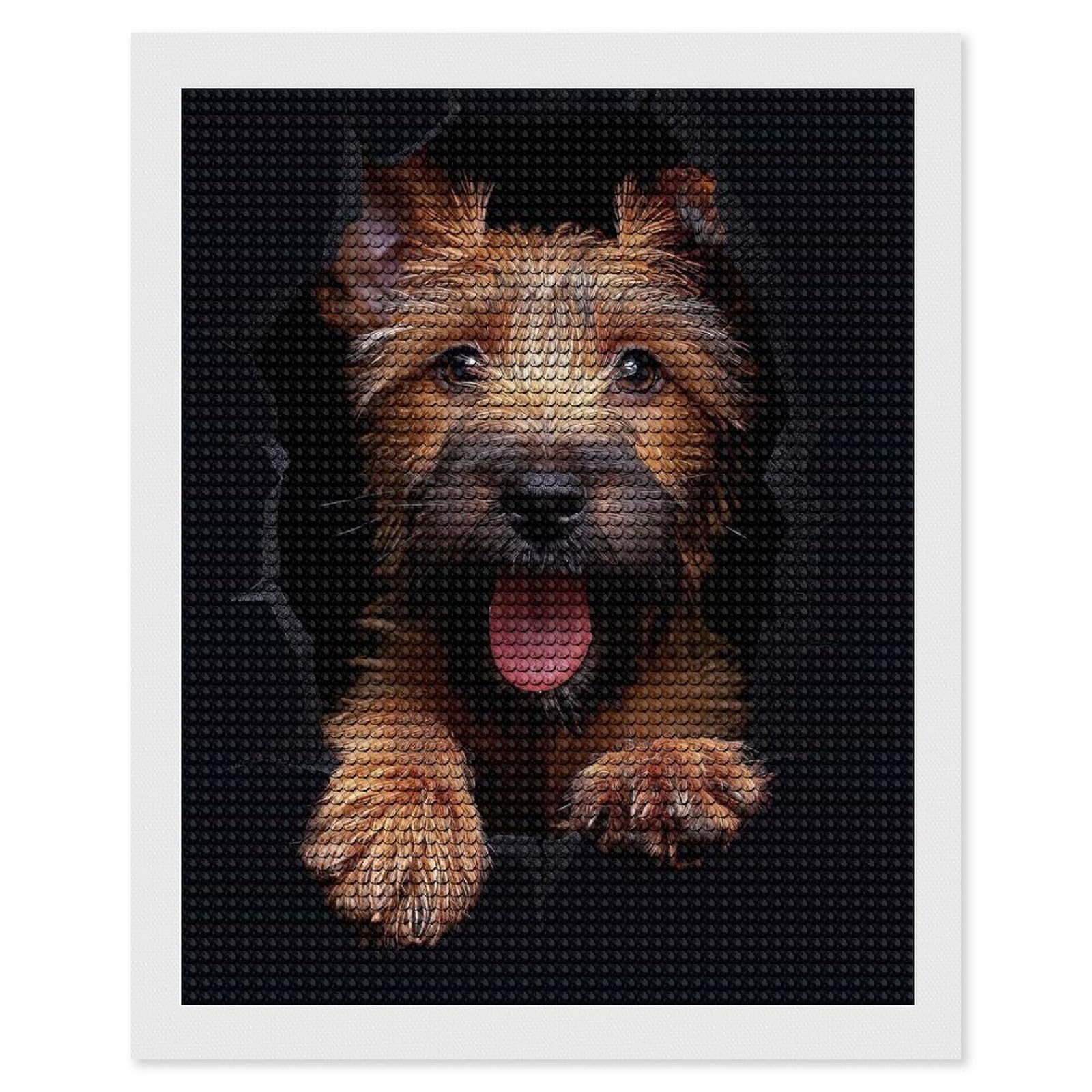 Junmoney Irish Terrier DIY Diamond Art Canvas Kit 16"x20", Simple to Start, Fun Craft Experience, Modern Decor, Gift Idea, Adhesive Canvas