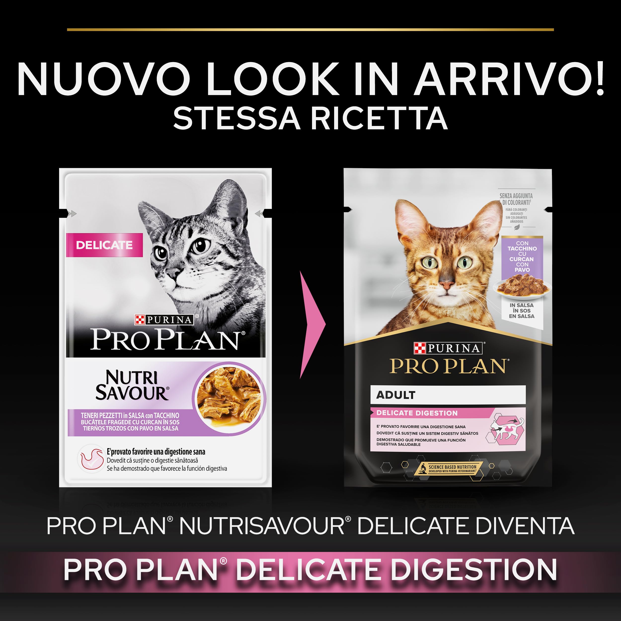 Purina Pro Plan Delicate Digestion Cibo Umido per Gatti Adulti Pezzettini in Salsa Tacchino, 40 Bustine da 85g