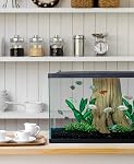 Tetra Aquarium en verre 29 Gallons, Réservoir de poisson rectangulaire, Couleurs assorties