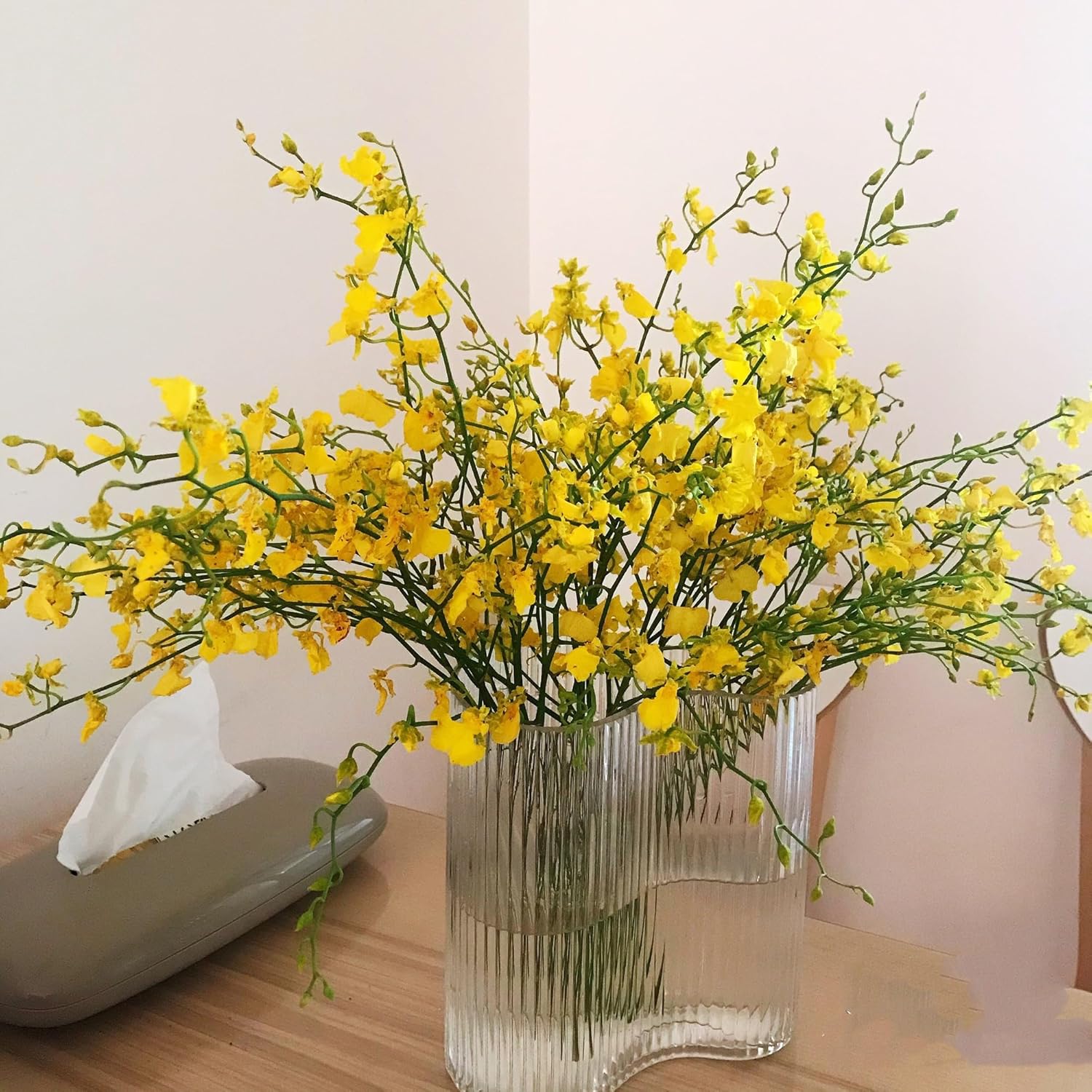 10 Stems Yellow Oncidium Orchid Flowers Home Flowers Flowers Bulk Flowers Wholesale Birthdays Anniversaries Healing Sympathy Friendship and Love