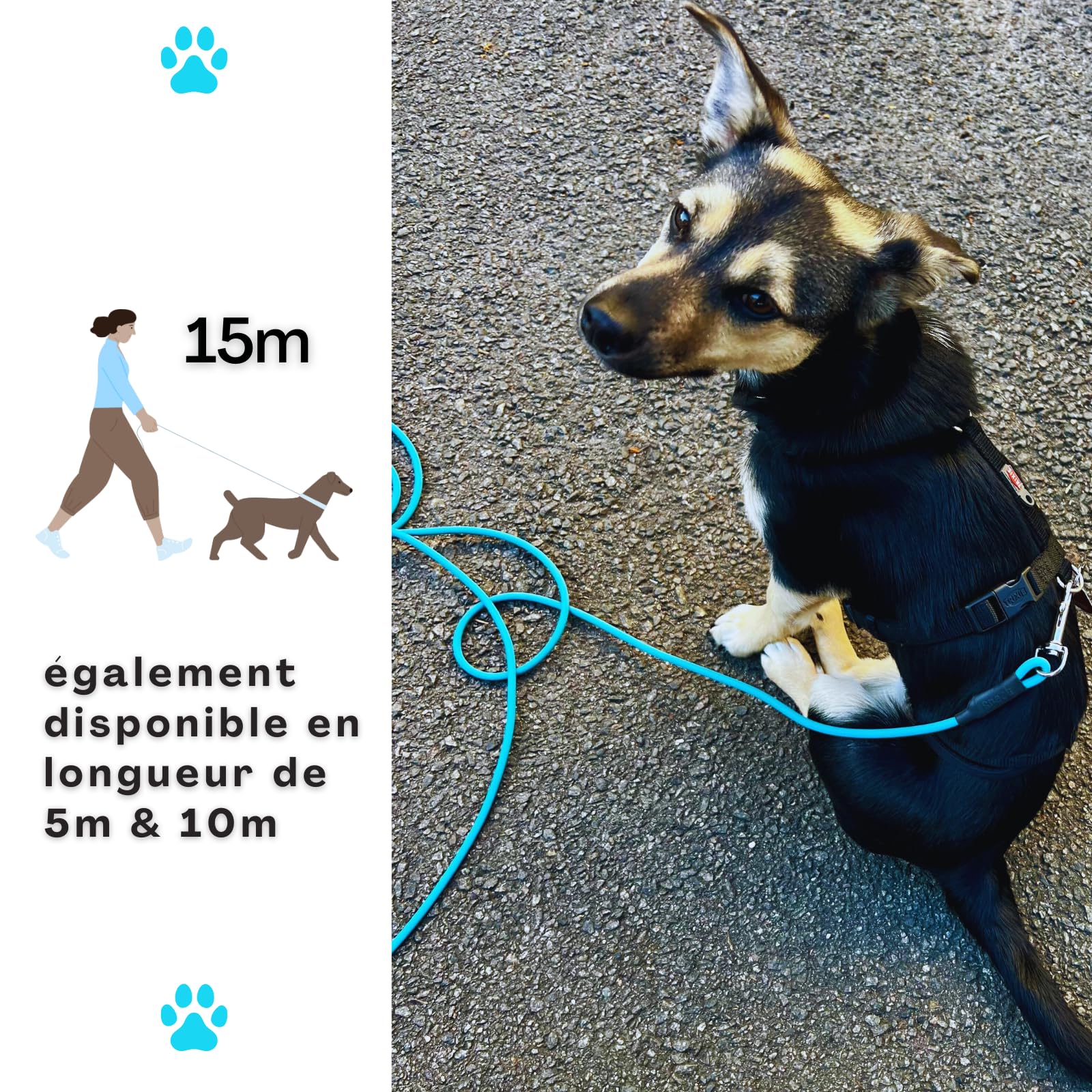 Guinzaglio da traino per cani, impermeabile, senza passante, 15 m, per allenamento a ruota libera, sicuro, blu ciano, fino a 35 kg