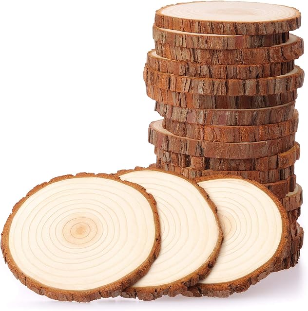 Fuyit Wood Slices 20 Pcs 9-10cm NO Hole Natural Unfinished Log Wooden Circles for Art Creation DIY Crafts Wedding Decorations Christmas Ornaments