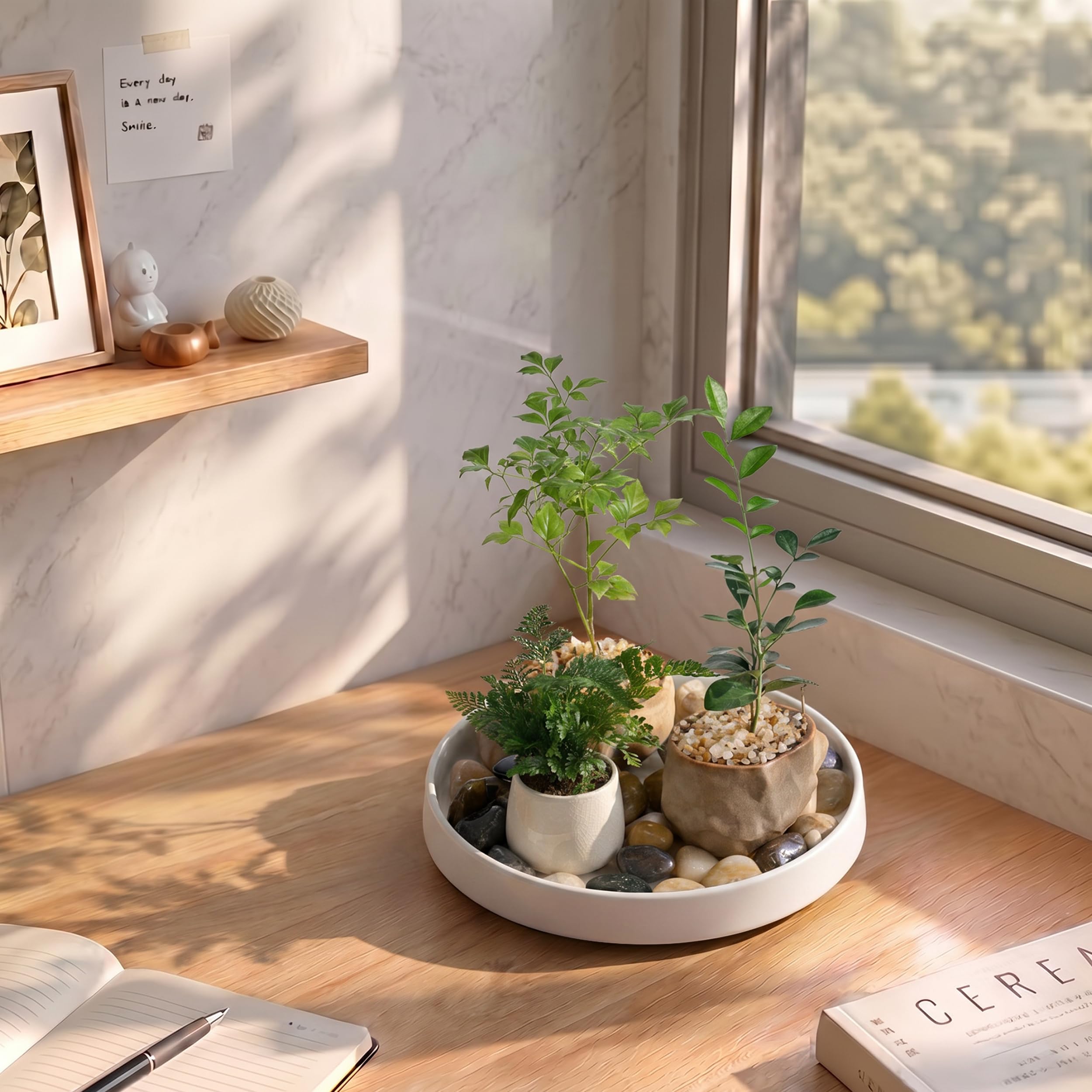 White Ceramic Plant Saucers - 2 Pack -8