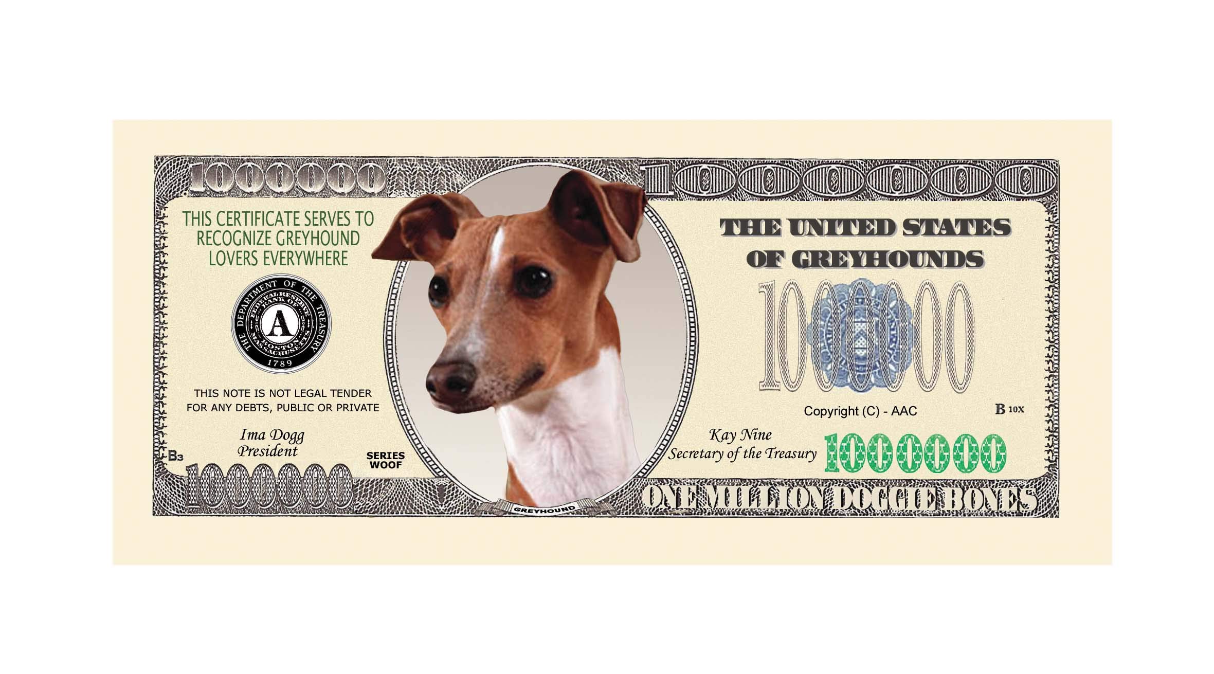 Fun Greyhound Million Dollar Bill Set - Pack Of 100 Fake Bills For Gags & Parties - View #8