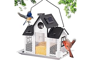 Rustic Bird Feeder: An Exquisite Oasis for Feathered Friends