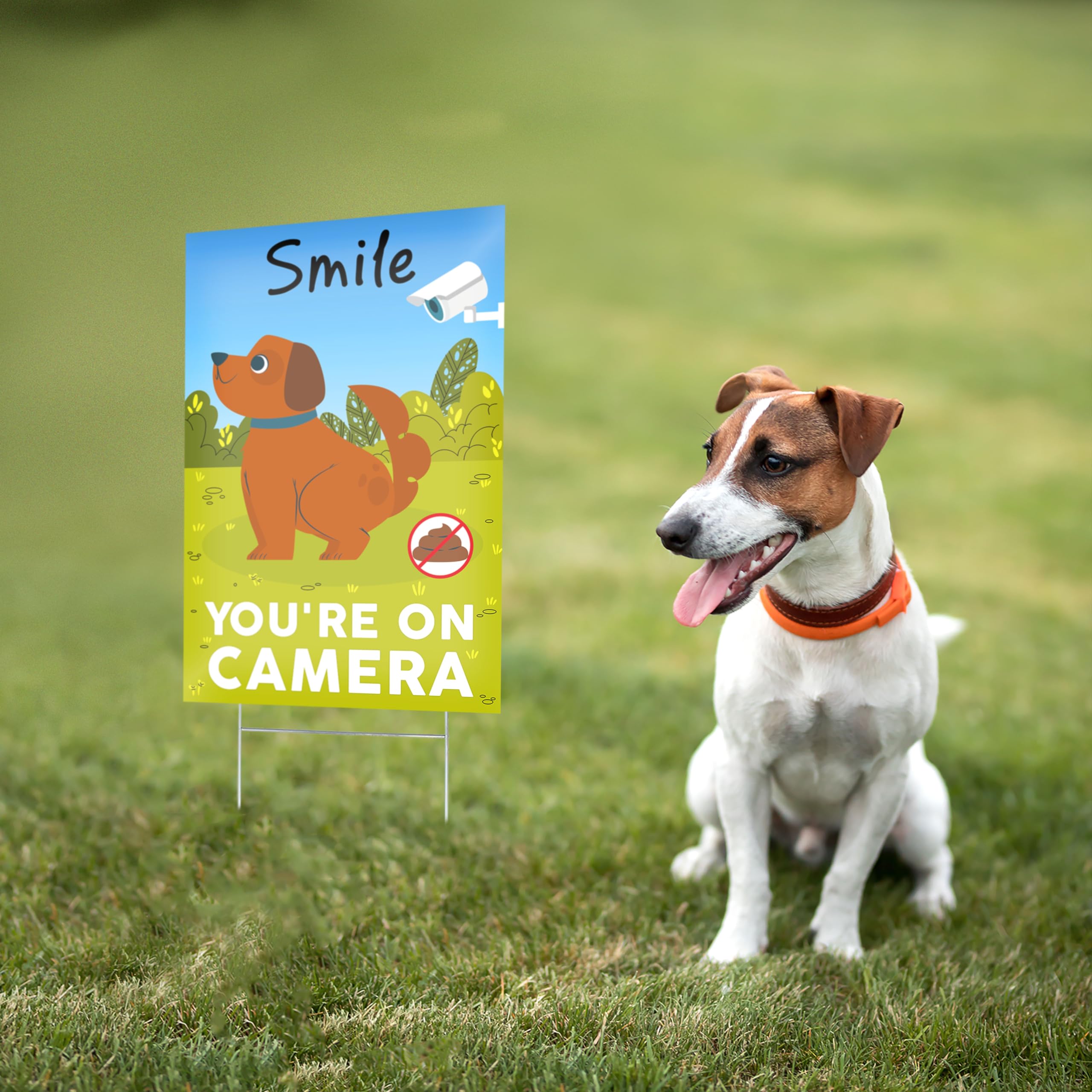 Amazon.com : 2 PC Smile You're on Camera Signs, 8x12 DS