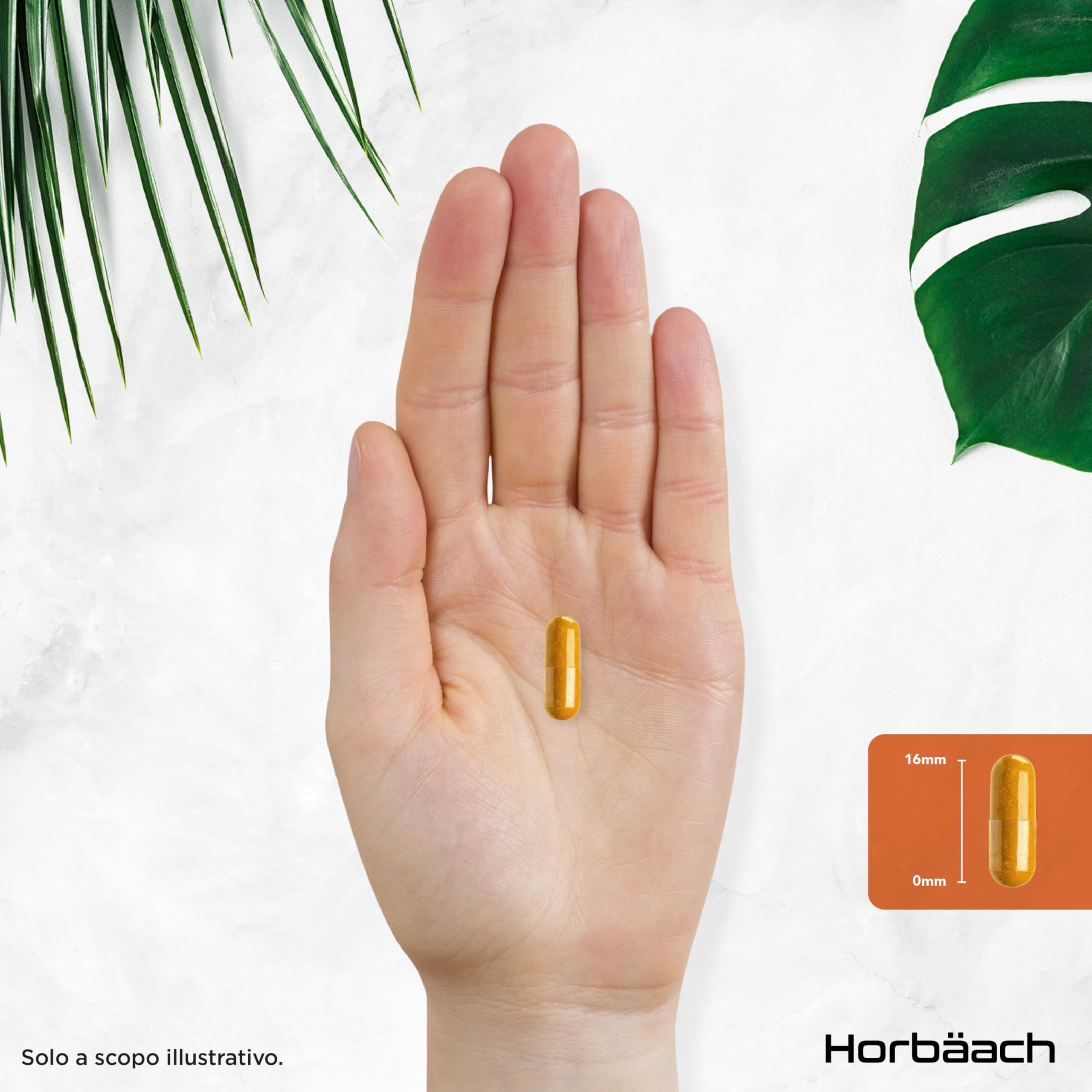 Curcuma Capsule 7500mg | Alta Dosaggio | Curcumina e Piperina | Turmeric and Black Pepper | Horbaach