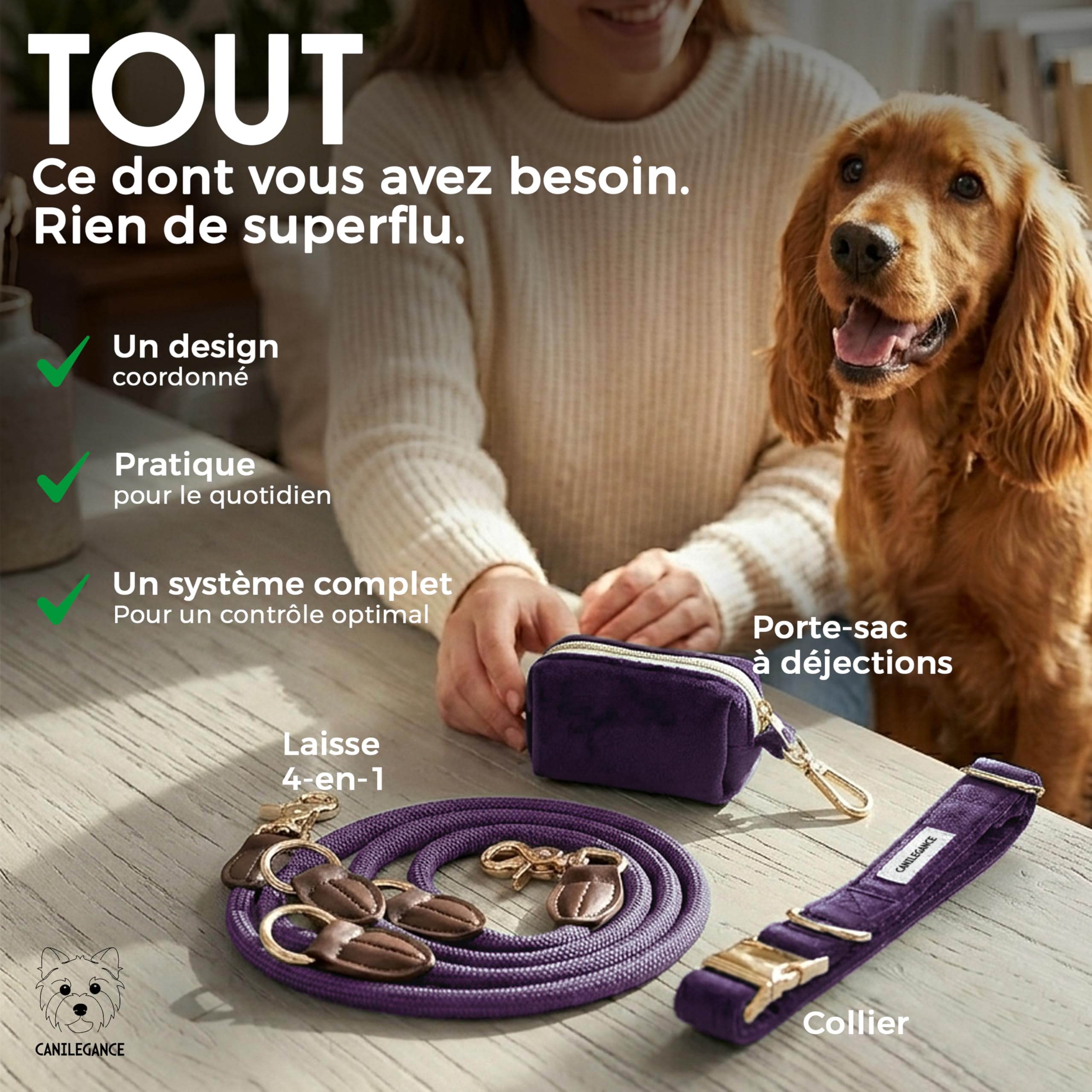 Set de Promenade pour Chien Collier Réglable Laisse 4-en-1 Porte-Sachet Violet Taille L Tour de Cou 39-59 cm Lavable en Machine