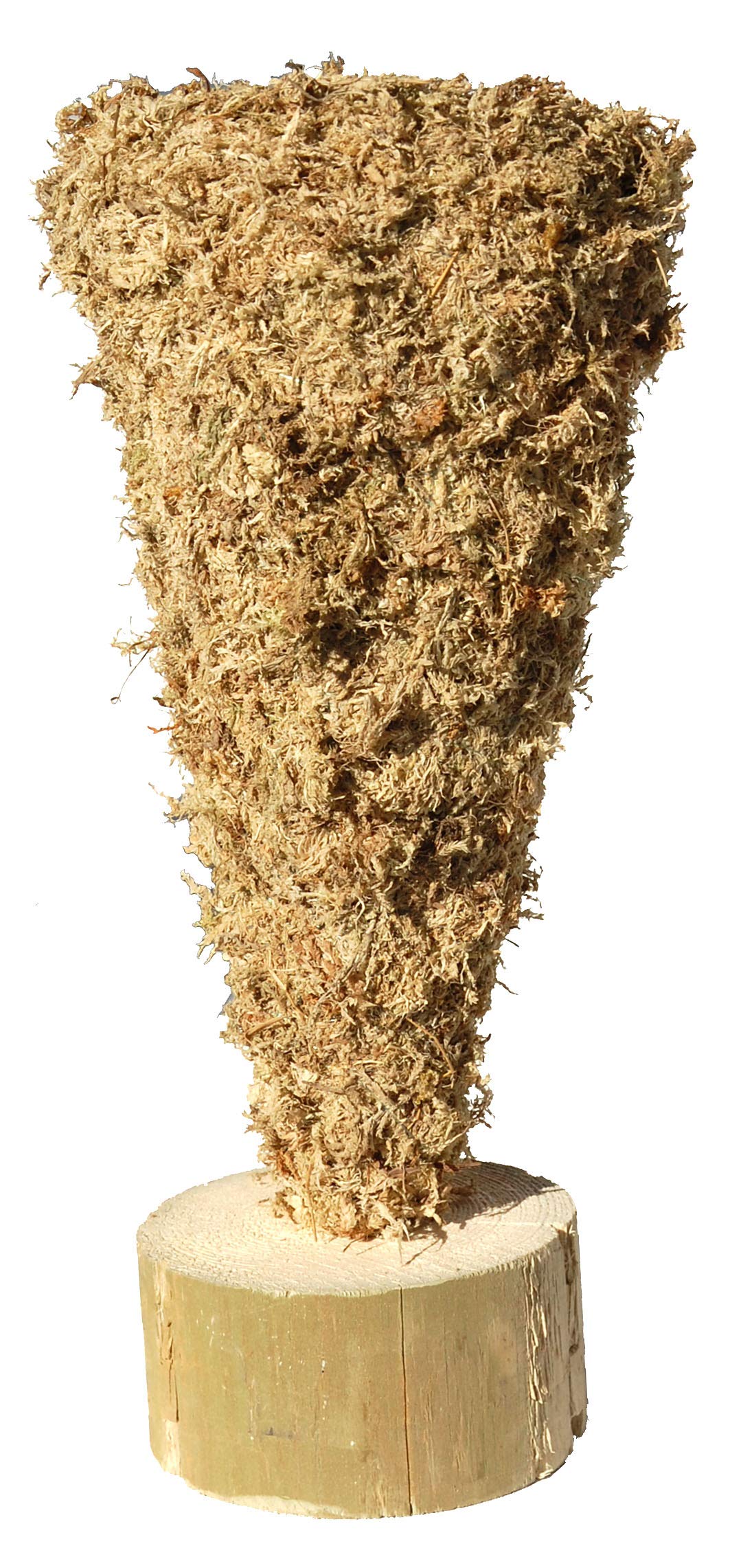 Upside Down Christmas Tree Cone Sphagnum Moss Topiary Form - Small