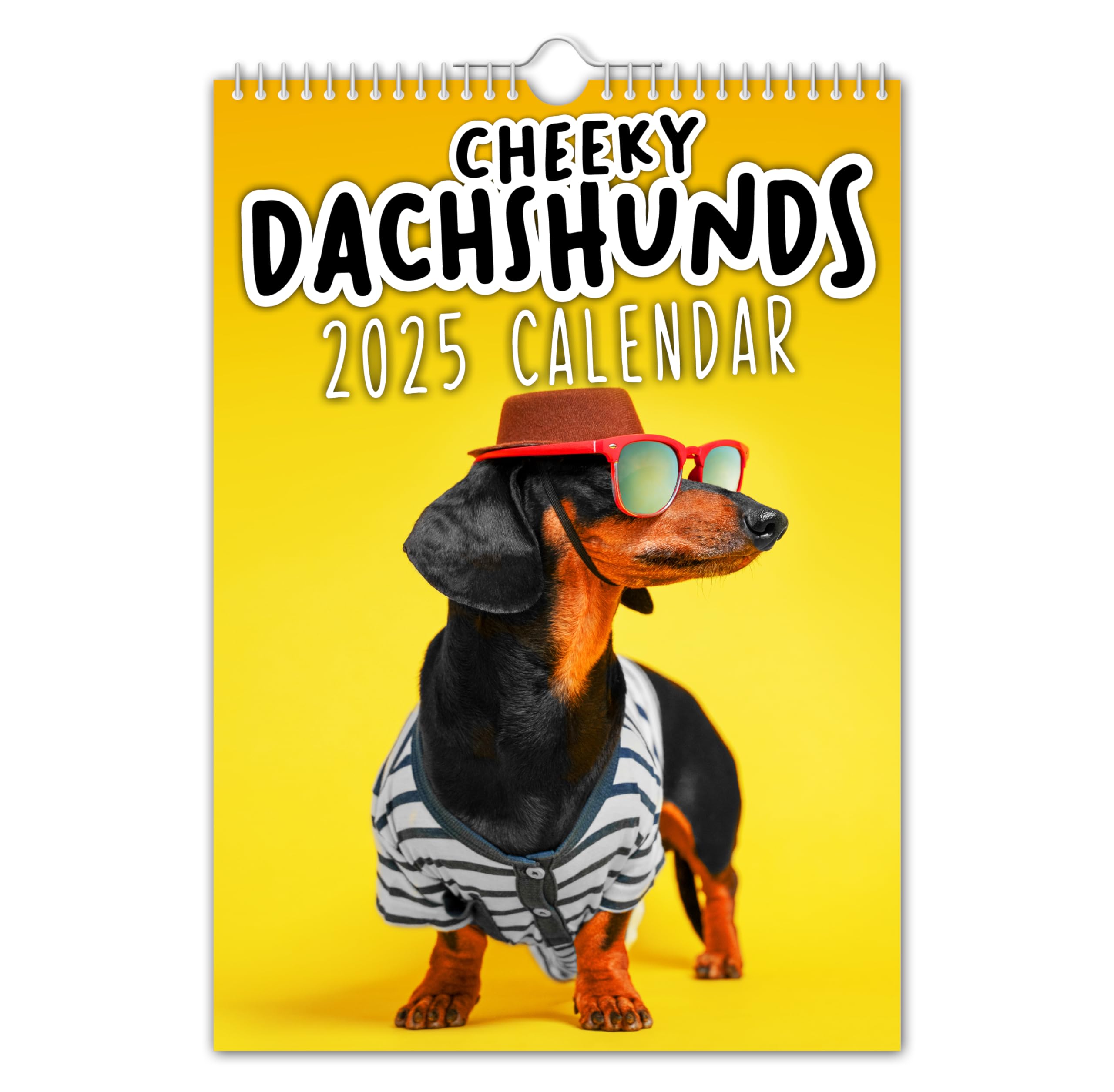 The Calendar King // Cheeky Dachshunds - 2026 Wall Calendar (Full Colour, A4 Size) ***