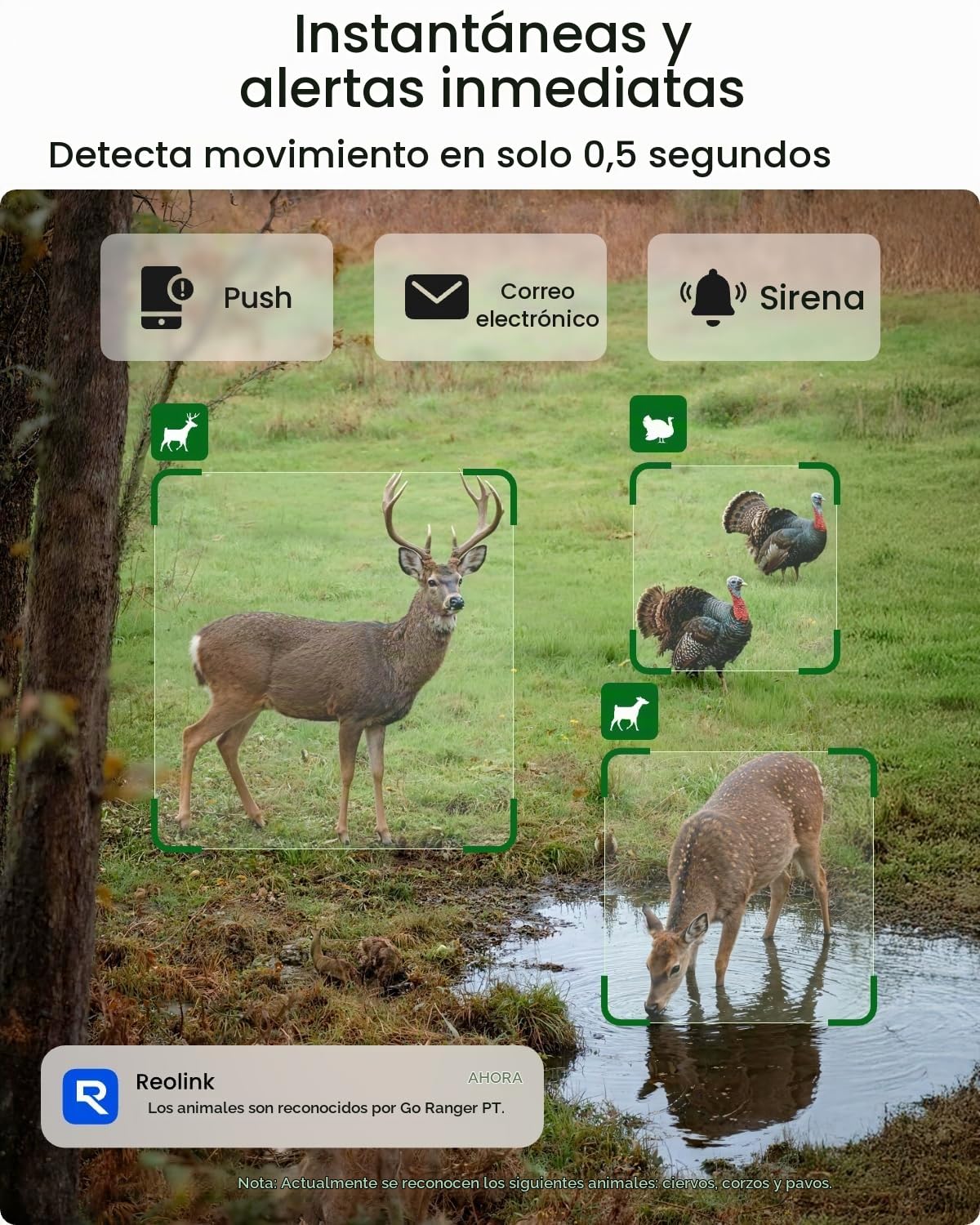 Reolink 4K 3G/4G Camara Vigilancia Exterior con Tarjeta SIM, Visión Nocturna, Detección de AI, Batería Recargable, Go Ranger PT + 6W Panel Solar + Candado de Cable para cámara de Sendero
