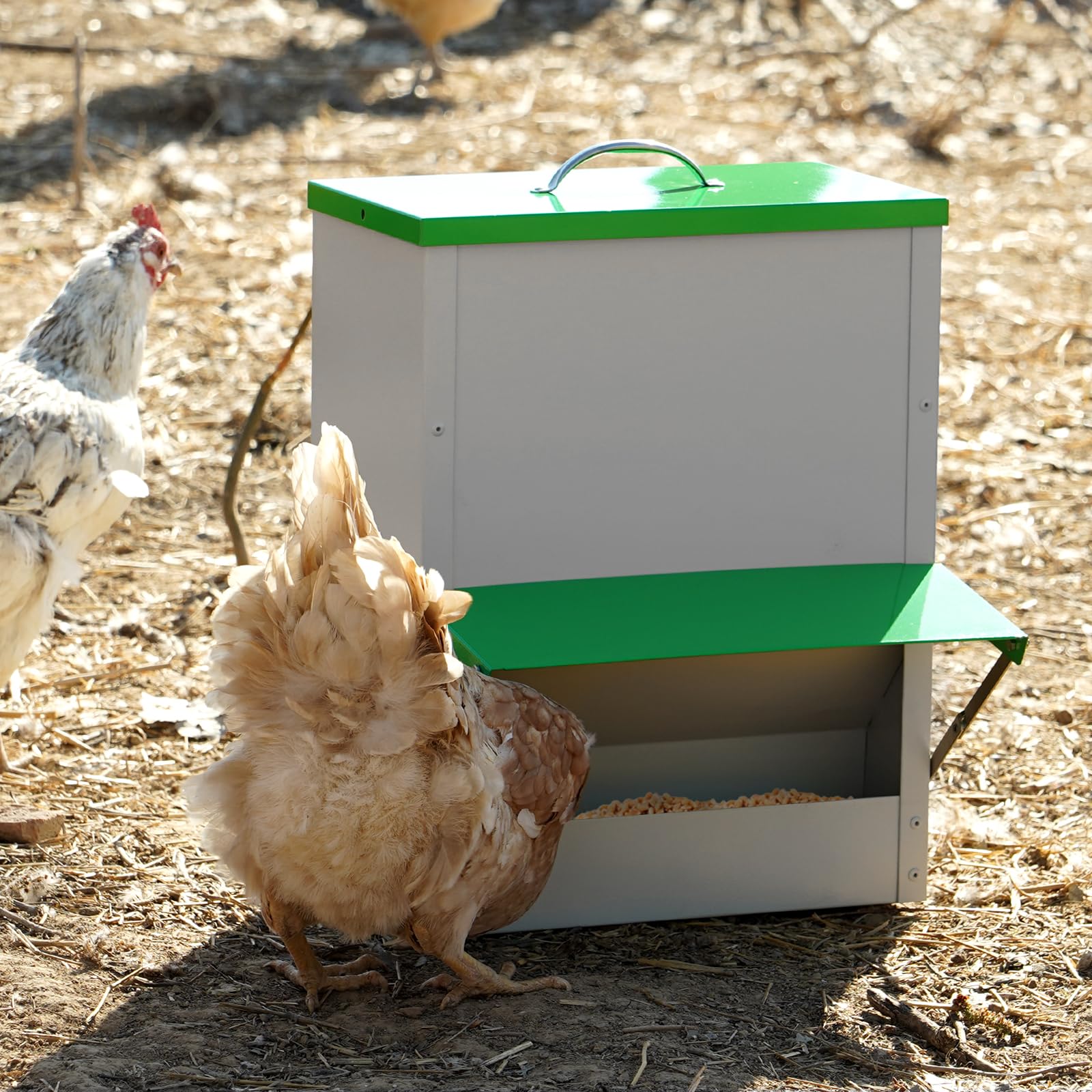 Automatischer Hühnerfutterspender 11,3 kg Metall Geflügel Futterspender mit Deckel Großer Hühnerstall Feeder Hängende Hühnerfutterstation Trog für Wachteln Hühner Enten