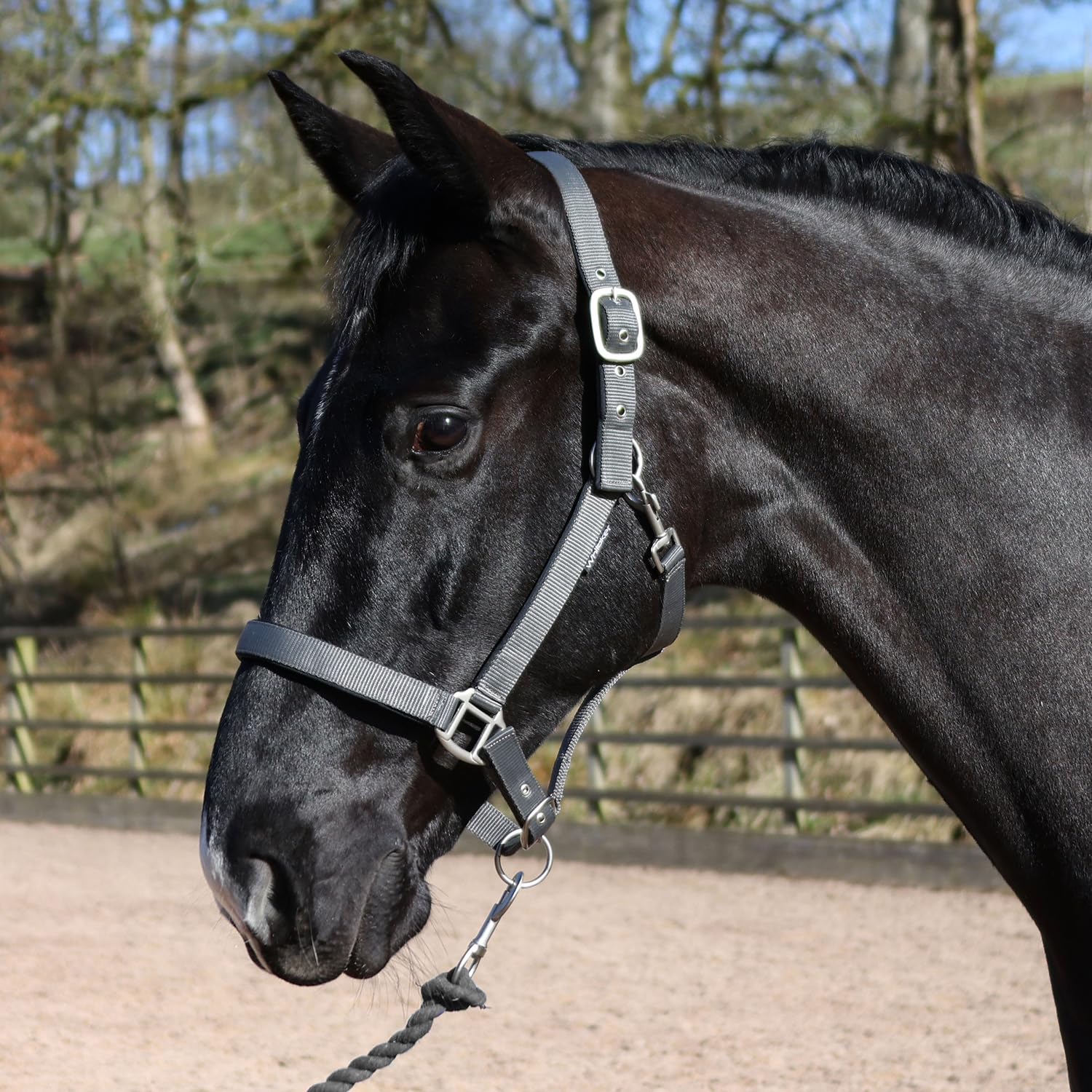 John Whitaker Pockley Headcollar, Everyday Horse Halter (Grey, Cob)