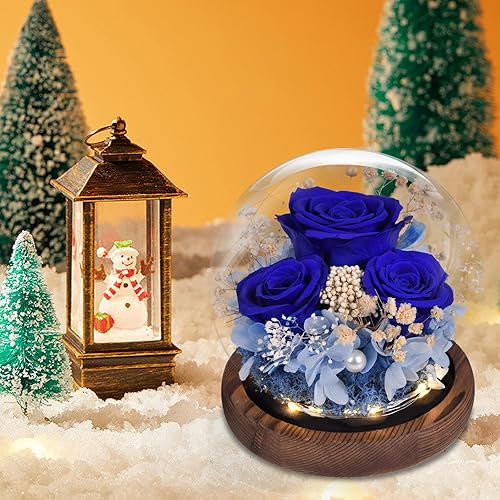 Miniatura 6 de Regalos para mujeres, flores preservadas hechas a mano, rosas de clavel reales en vidrio con luz, regalos para mamá, abuela, novia, esposa,