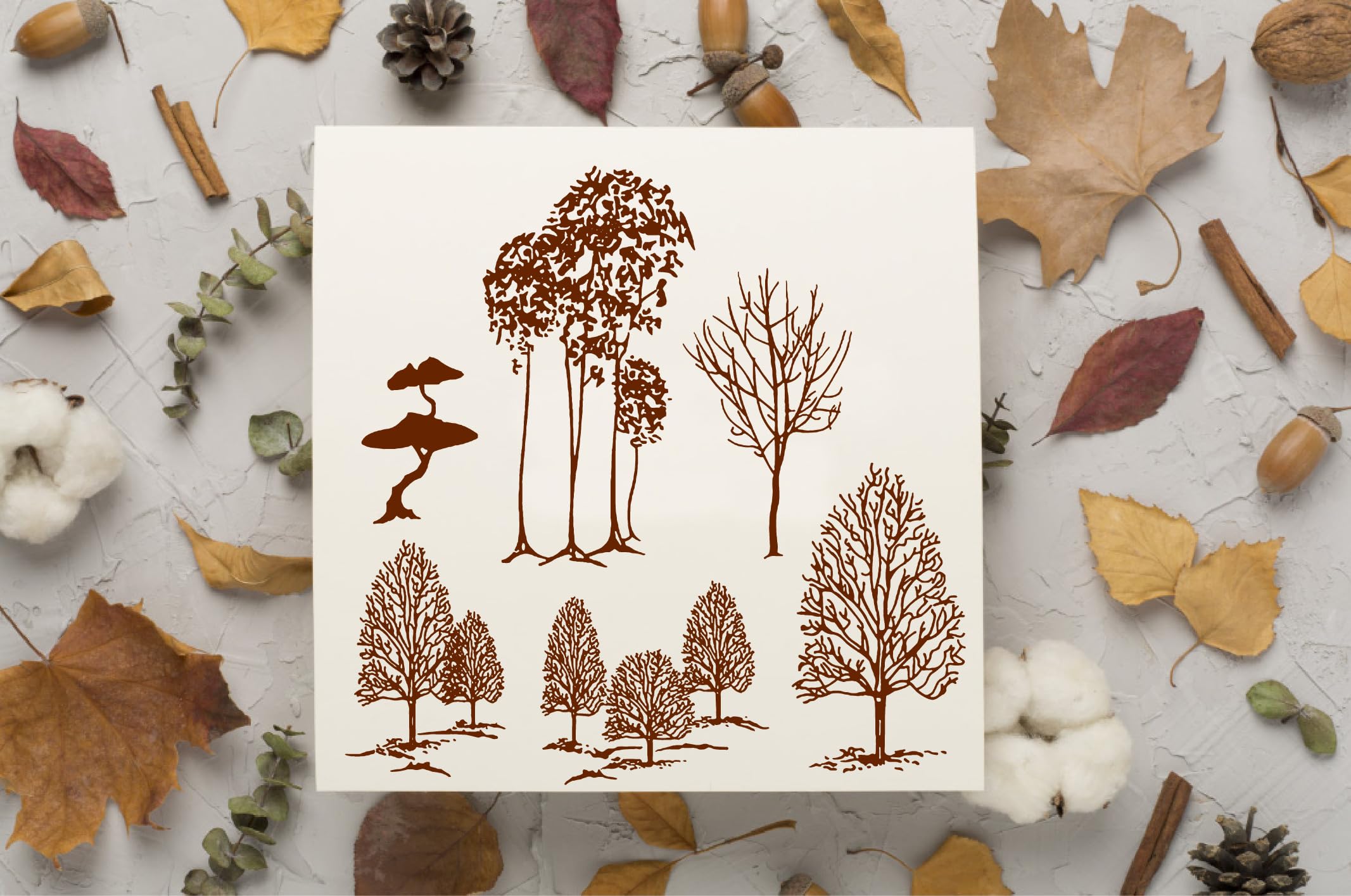 Catalogue Tampons Décoratifs Sign - Rêve De Patines