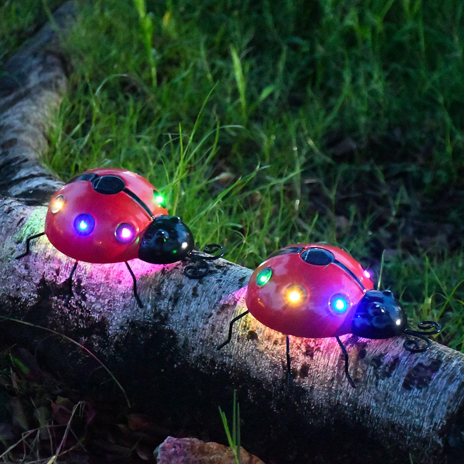 Amazon.com: 2PCS Solar Ladybug Light, Waterproof LED Solar Lights