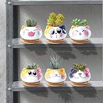 Pots sucants avec drainage 3.6 1 cm Mini Pots de chat pour plantes Petit planteur animal Petite céramique Air Pots de fleurs de plantes Cactus Faux Planters Conteneurs avec bac en bambou