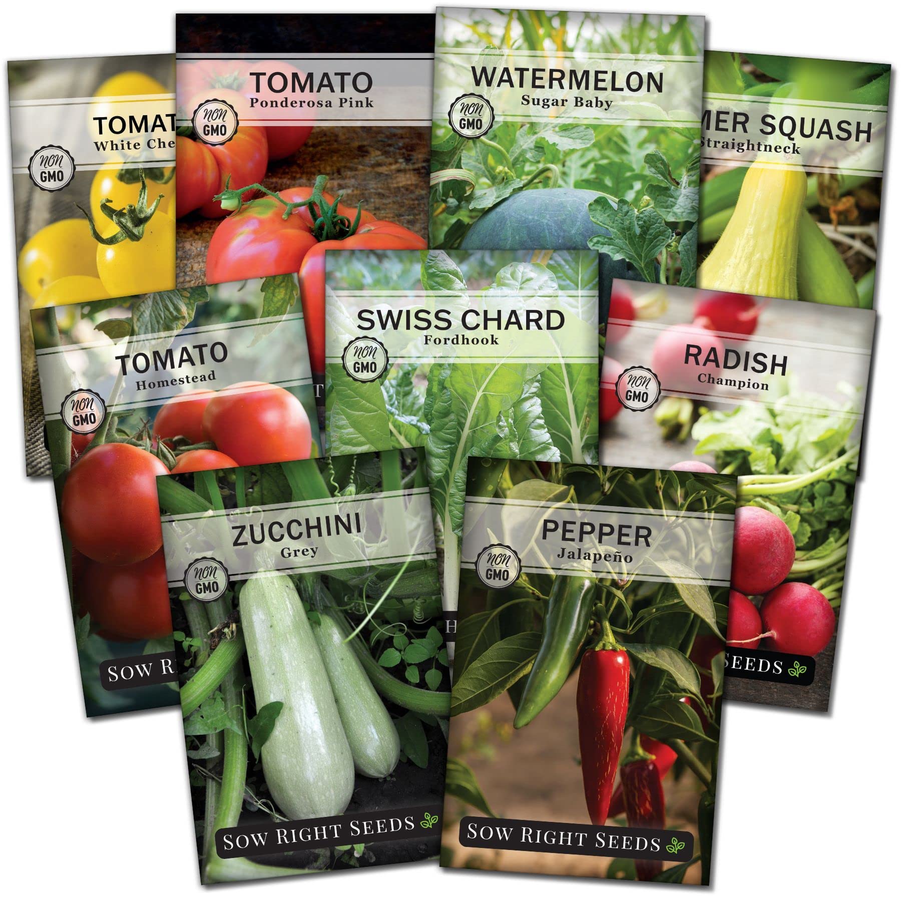 Vegetable Garden Seed Kits 12 Packets ubicaciondepersonas.cdmx.gob.mx
