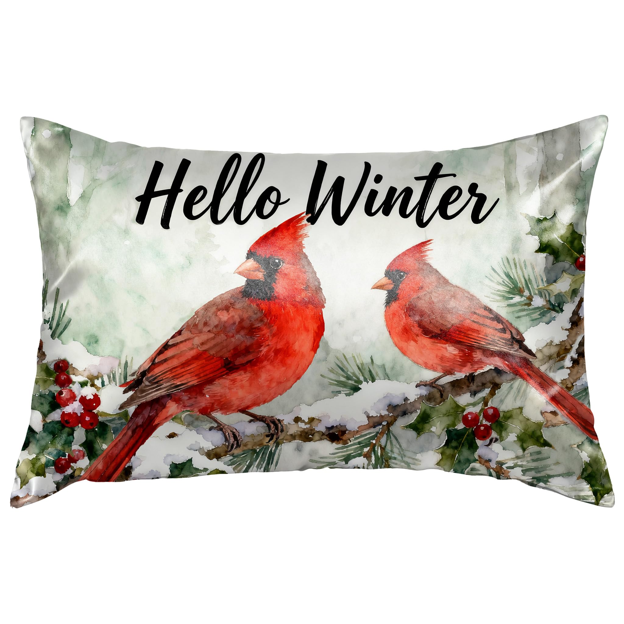 Cardinal Satin Pillowcase for Hair and Skin Hello Winter Soft Satin Pillow Cover with Hidden Zipper Queen Size