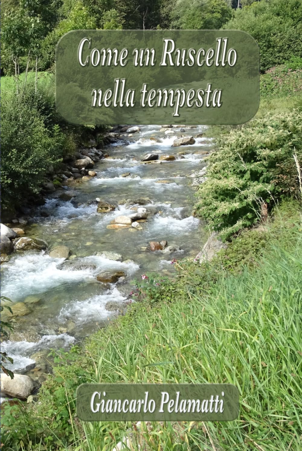 Come un Ruscello nella Tempesta