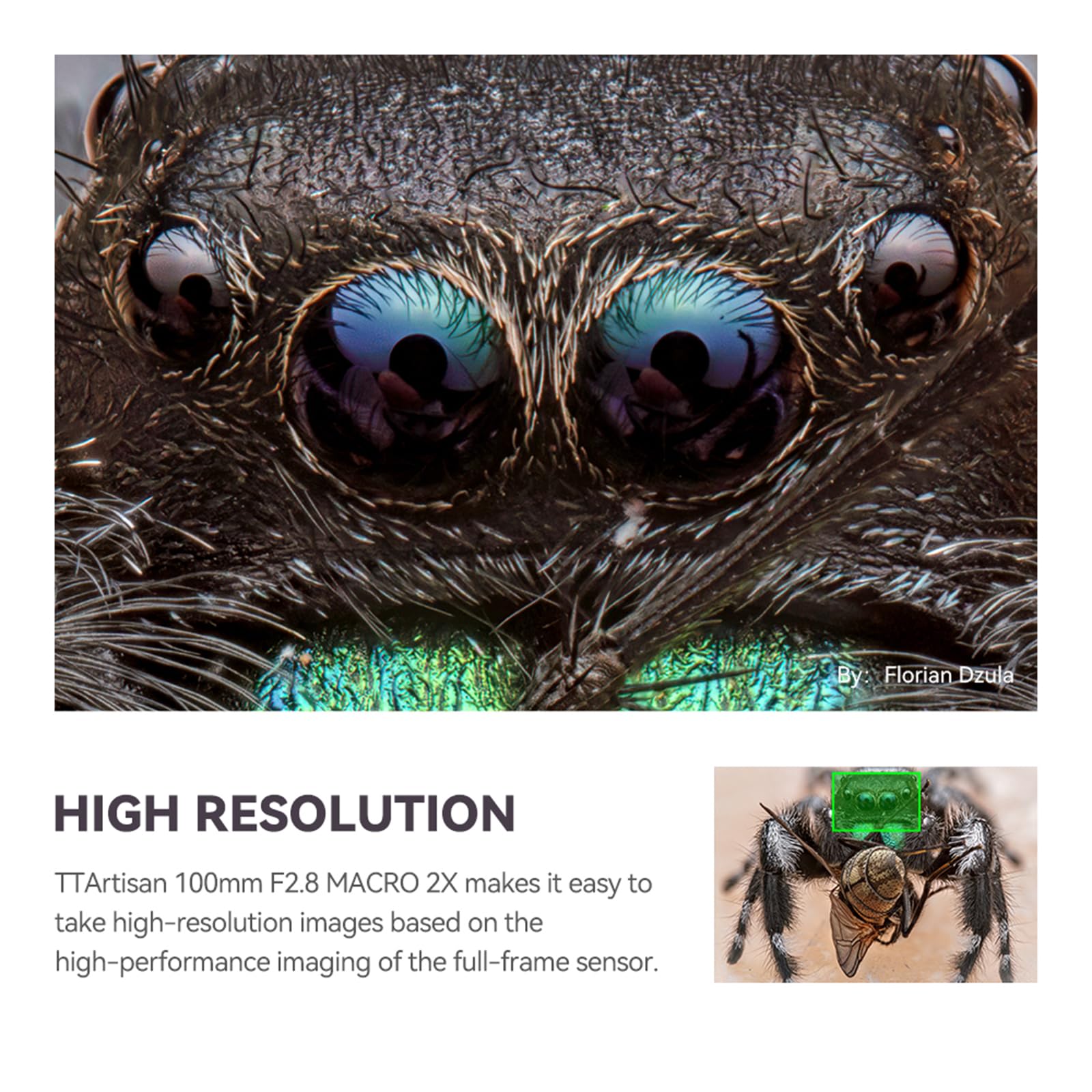 TTARTISAN Objectif macro 100 mm f/2.8 pour Canon RF Mount grossissement 2X plein format mise au point manuelle Objectifs d'appareil photo sans miroir (monture RF)