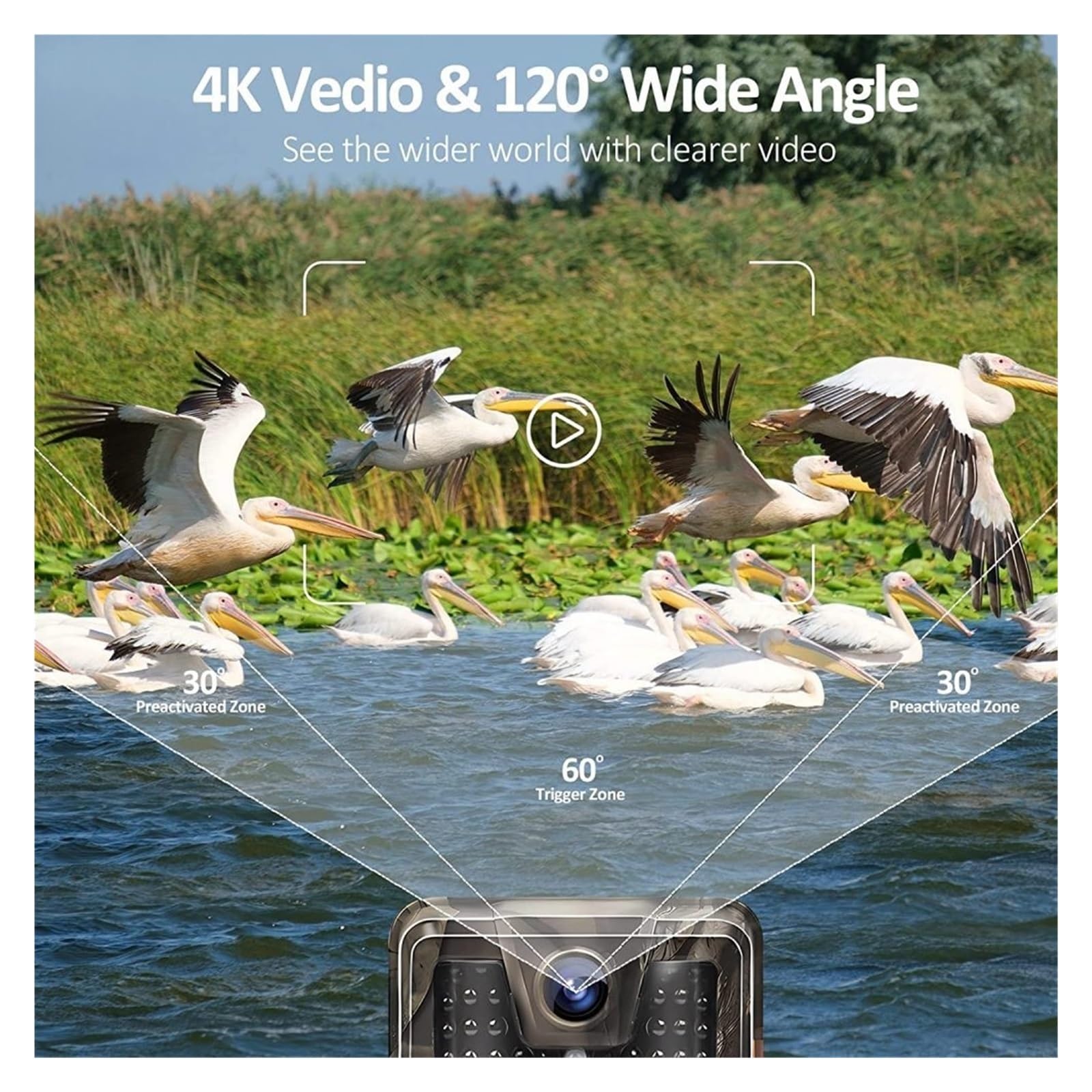 Kamera leśna, Kamera Obserwacyjna 4K 36MP Pokaz Wideo Na Żywo Kontrola Aplikacji Wi-Fi Do Gier Brak Świecącej Nocy 940NM Wizja Dla Kamery Wildlife Trap