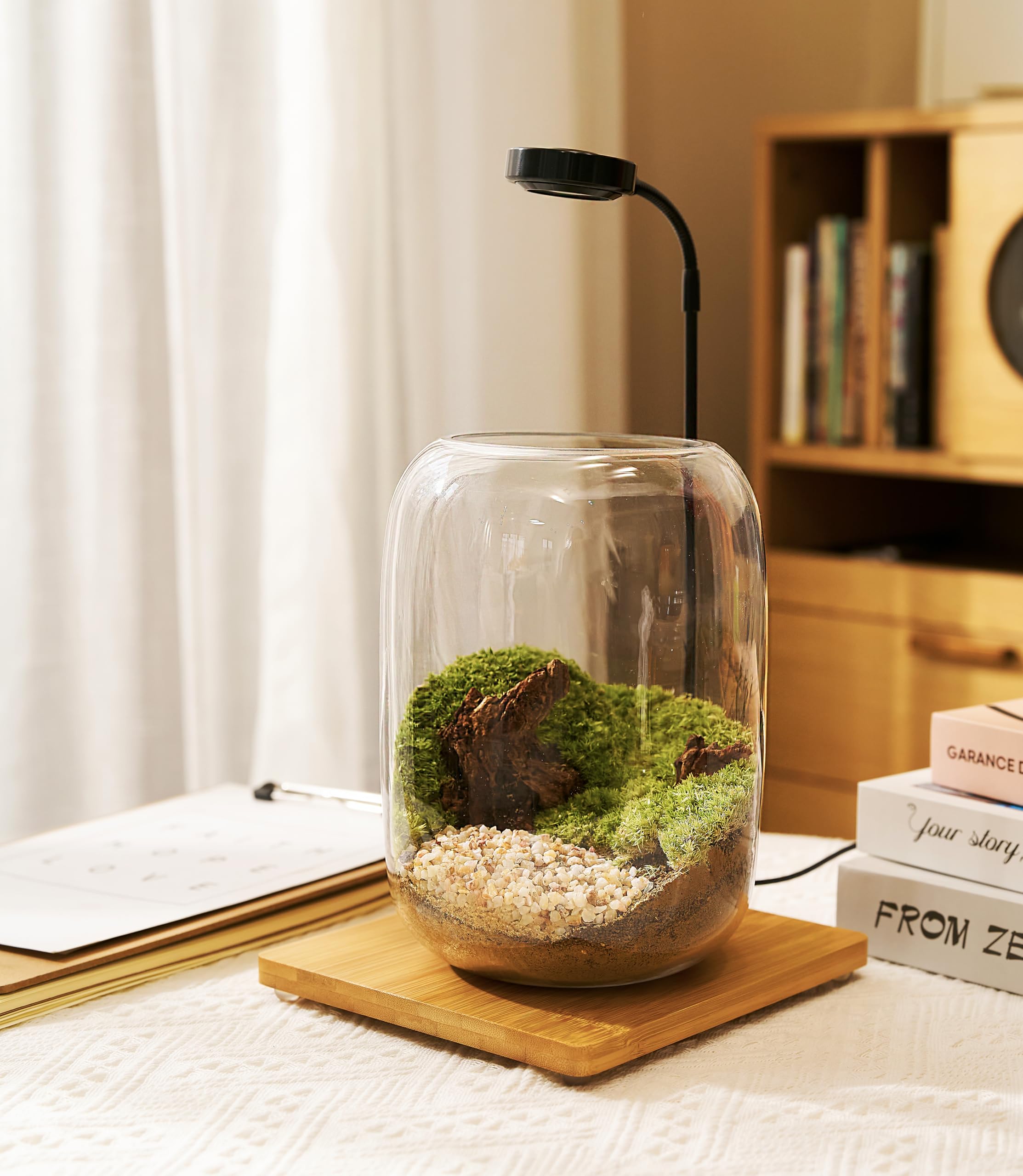 Zestaw do terrarium z lampką do uprawy, sukulenty, mini zestaw ogrodniczy - zawiera słoik, narzędzia, mech, skały, drewno dryfujące i dekoracje