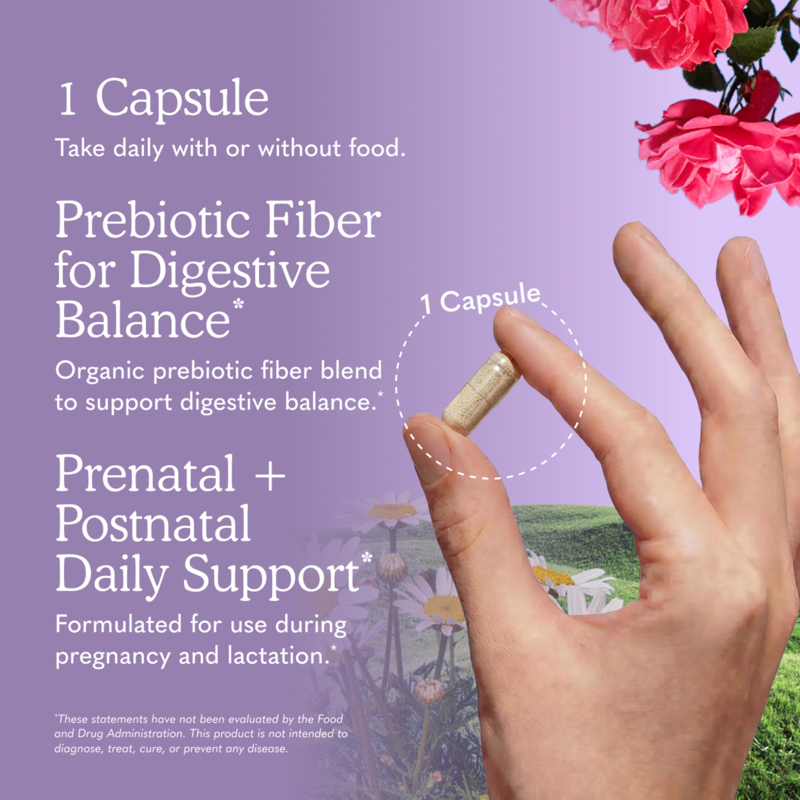 Garden of Life | Once Daily Prenatal | 30 vegane Kapseln | glutenfrei