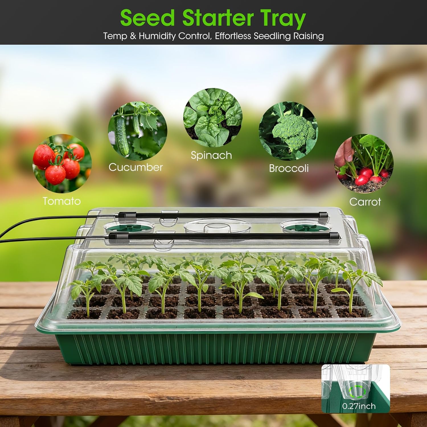 Seed Starter Tray with Grow Light, 2 Pack 80-Cell Seedling Starter Kit with Smart Timer & Humidity Dome, Indoor Plant Germination Kit with 100pcs Nursery Bags & 2-in-1 Sprinkler for Seed Starting